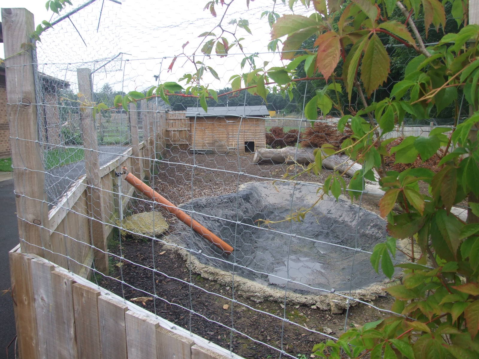 Capybara Enclosure