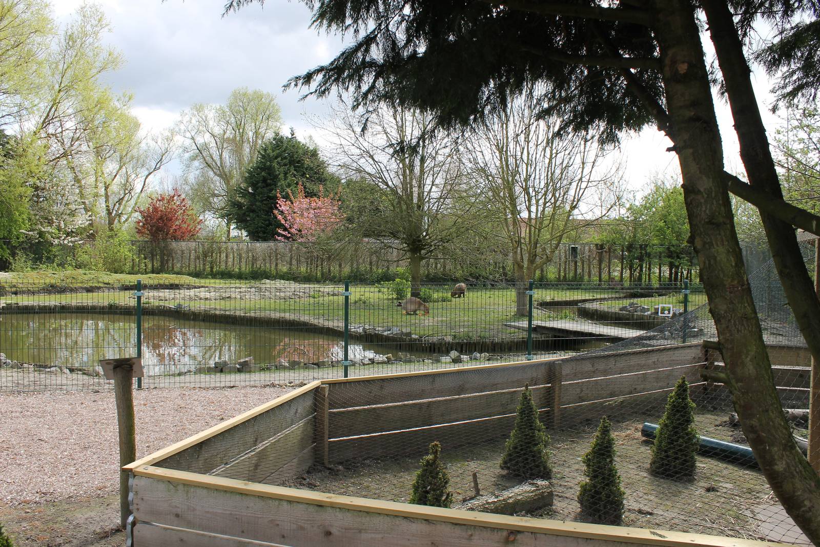 Capybara enclosure