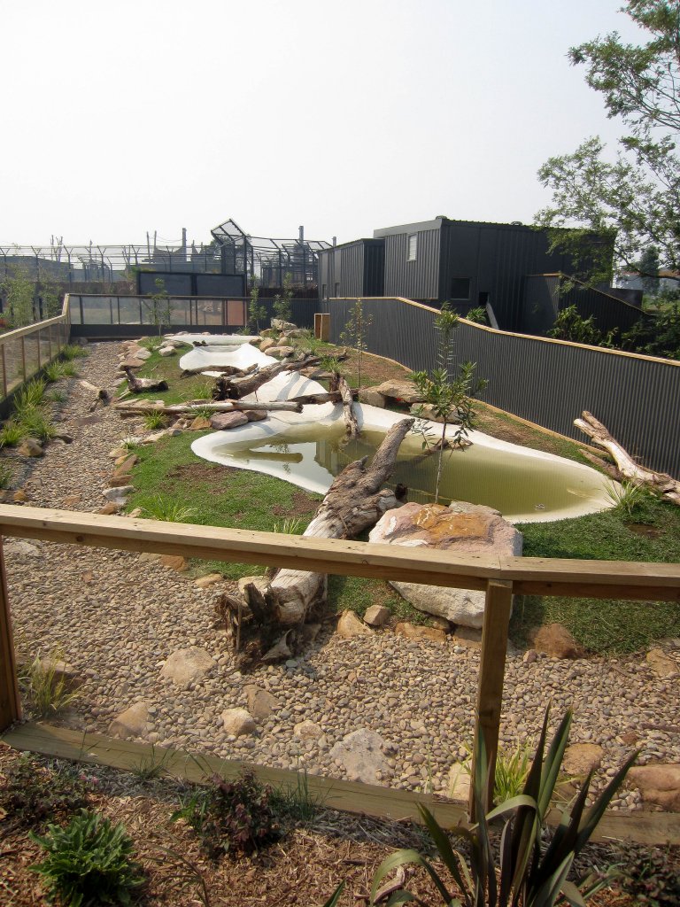 Capybara enclosure