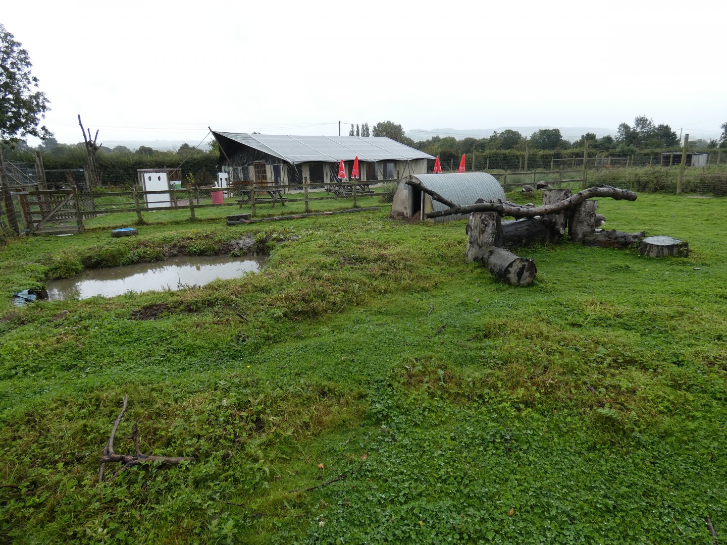 Capybara enclosure