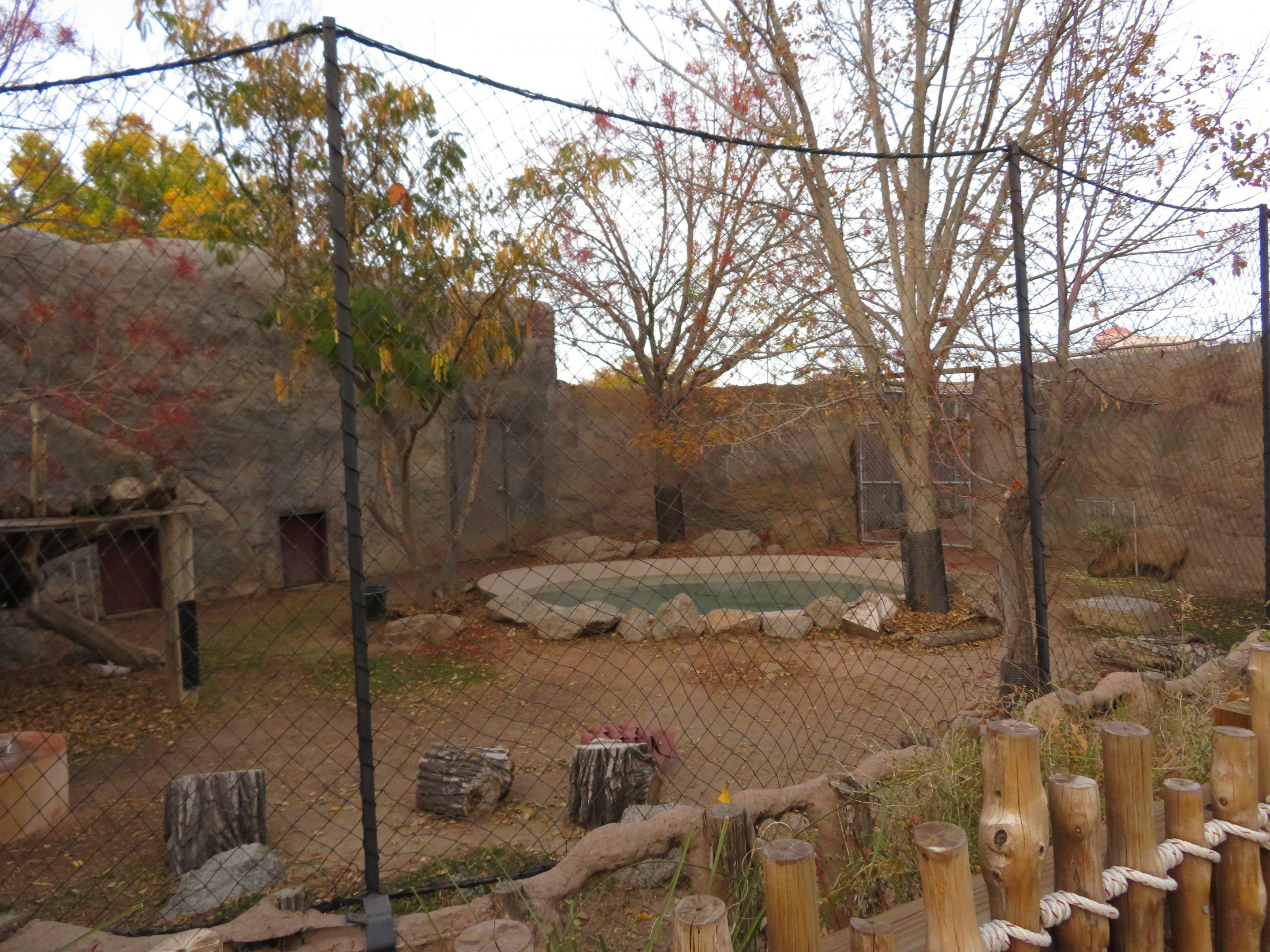 Capybara Enclosure