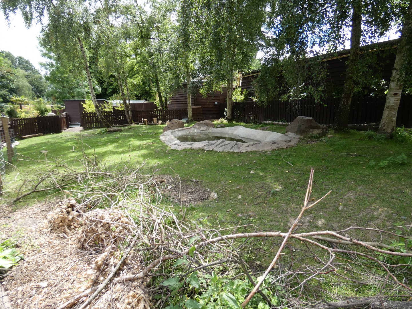 Capybara enclosure