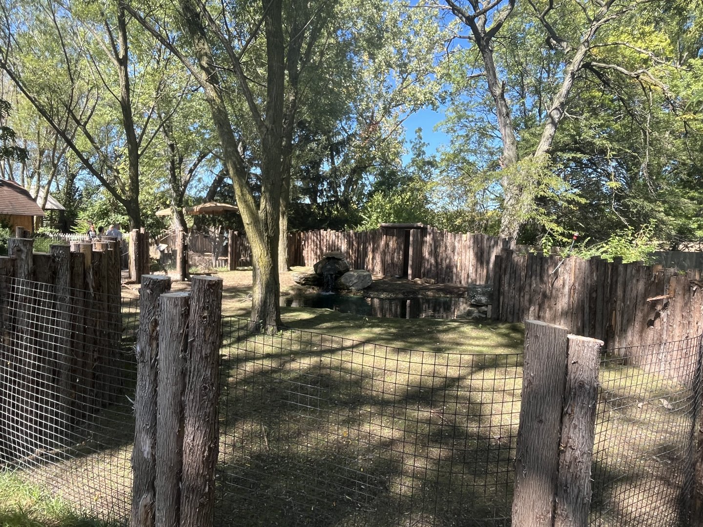 Capybara Enclosure