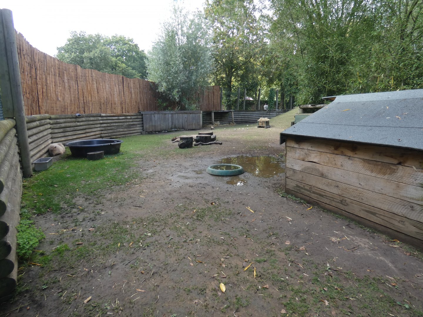 Capybara enclosure