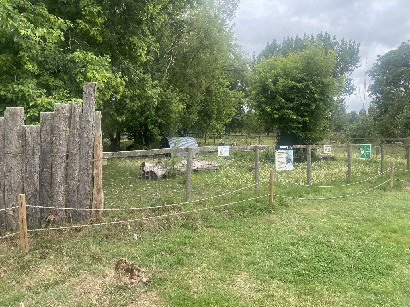 Capybara exhibit 040824
