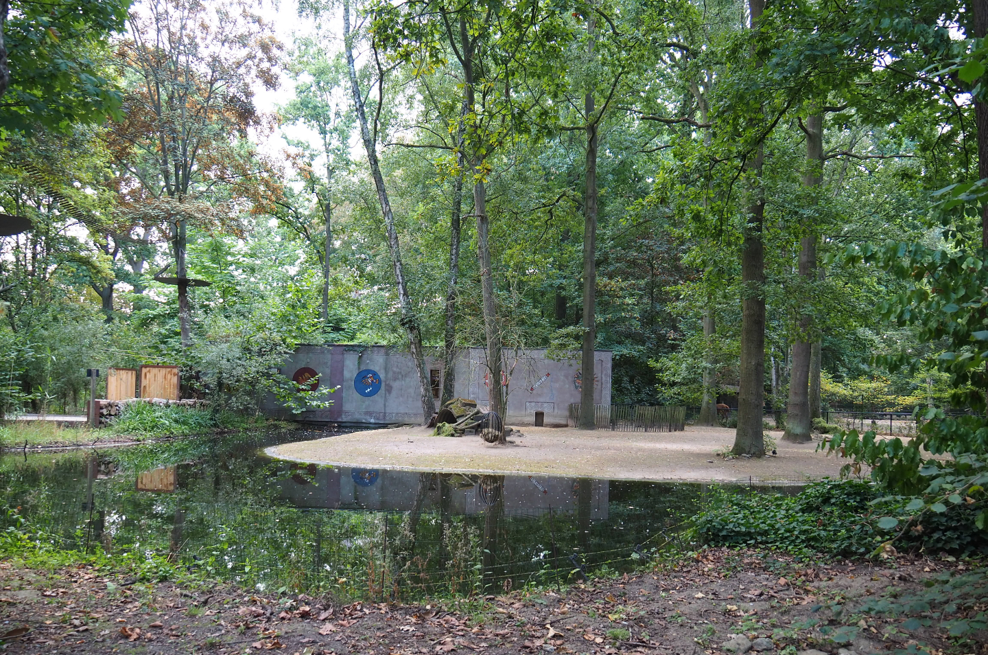 Capybara exhibit, 2020-08-15