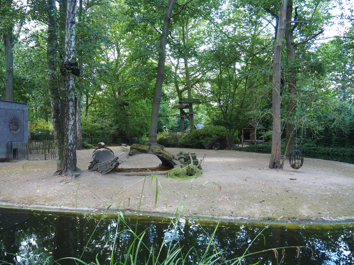 Capybara exhibit, 2020-08-15