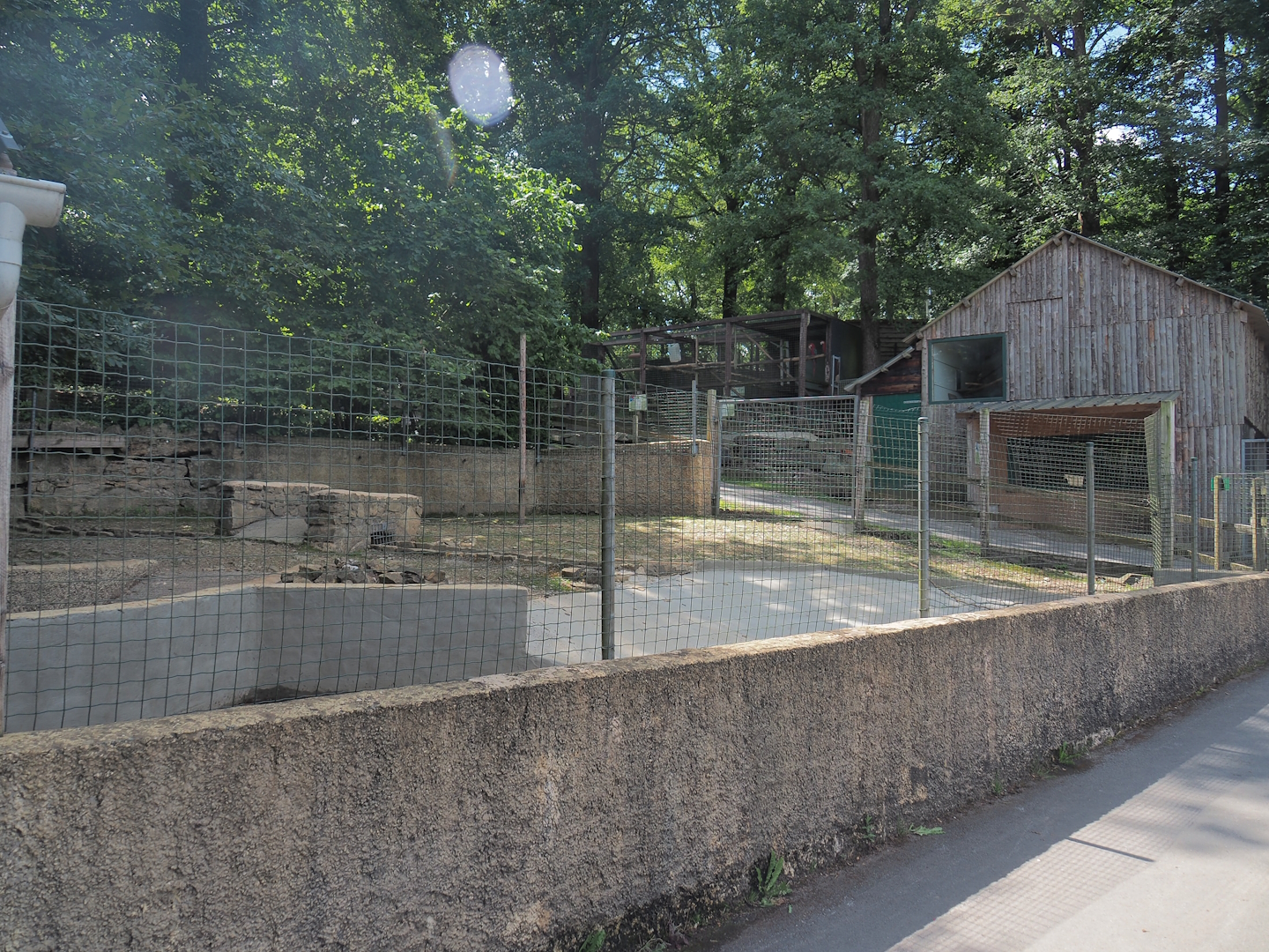 Capybara exhibit, 2023-06-24