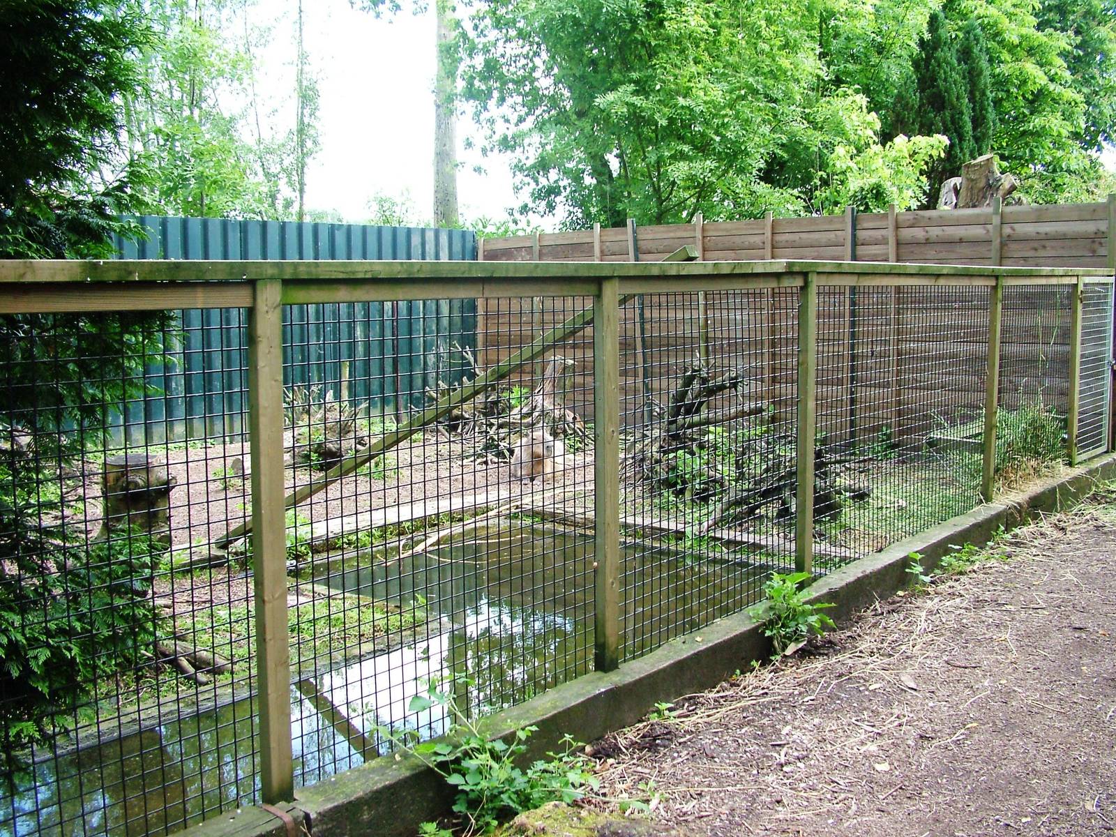Capybara Exhibit at De Paay, 02/06/12