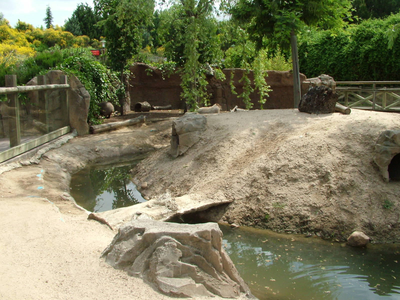 Capybara Exhibit at Faunia, 27/05/11