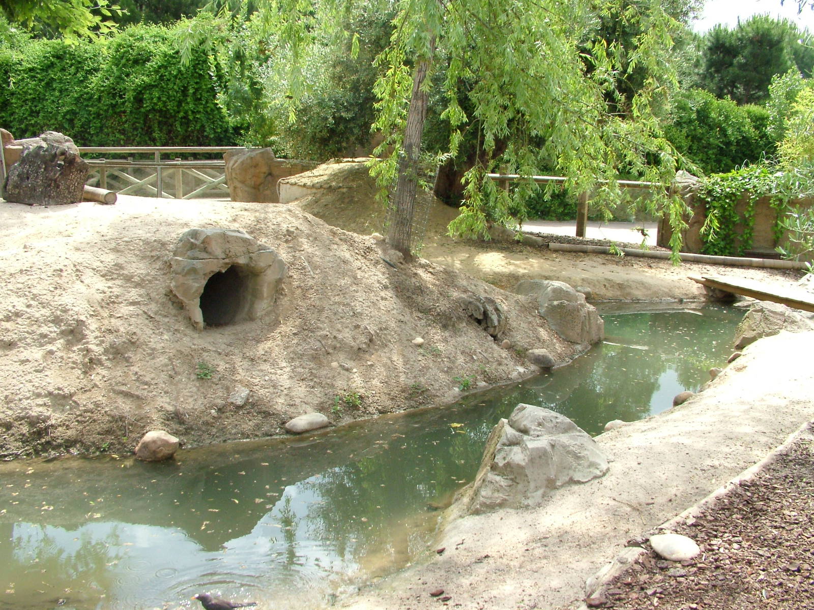Capybara Exhibit at Faunia, 27/05/11