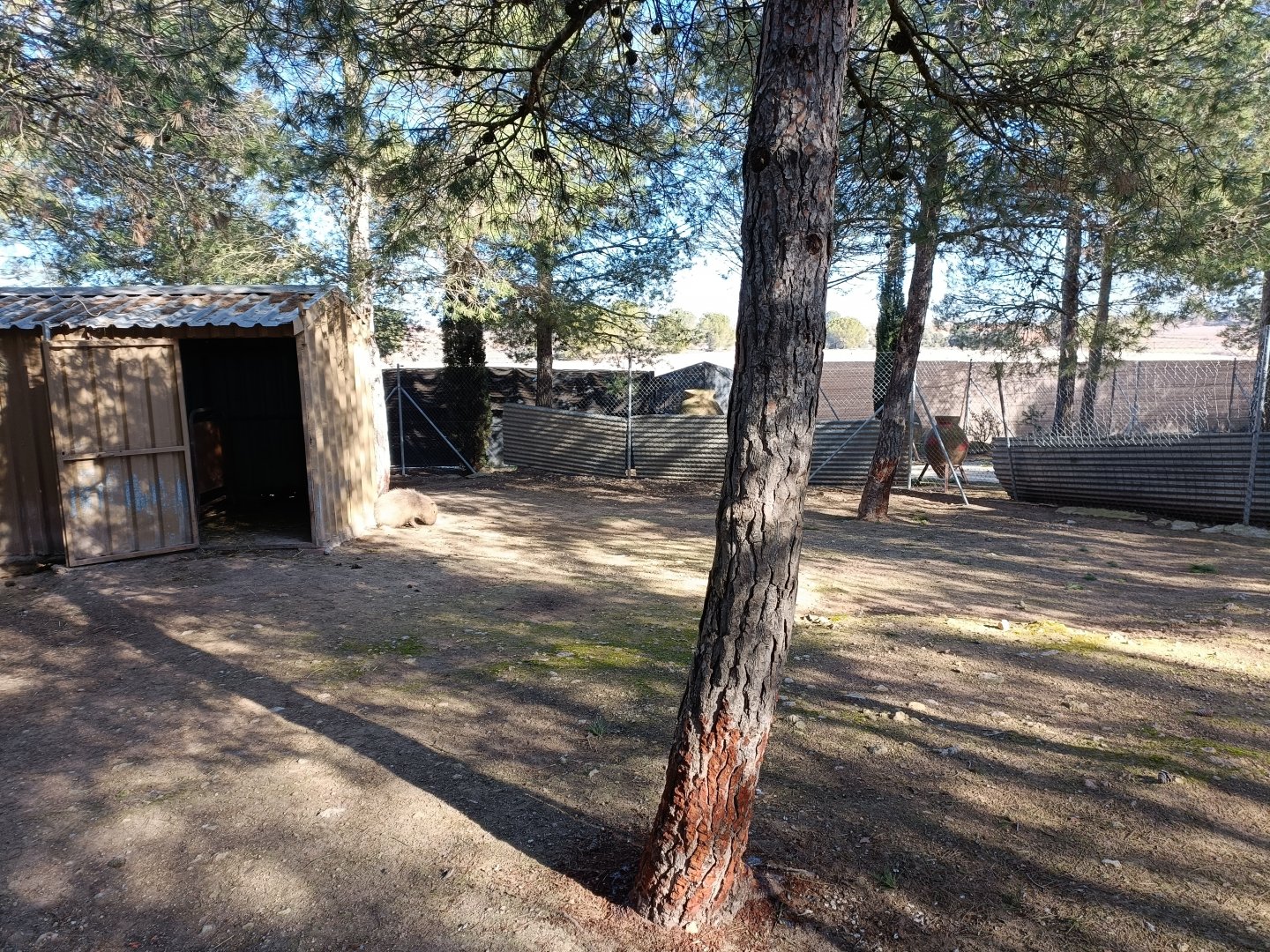 Capybara exhibit - Bioparque La Rocha