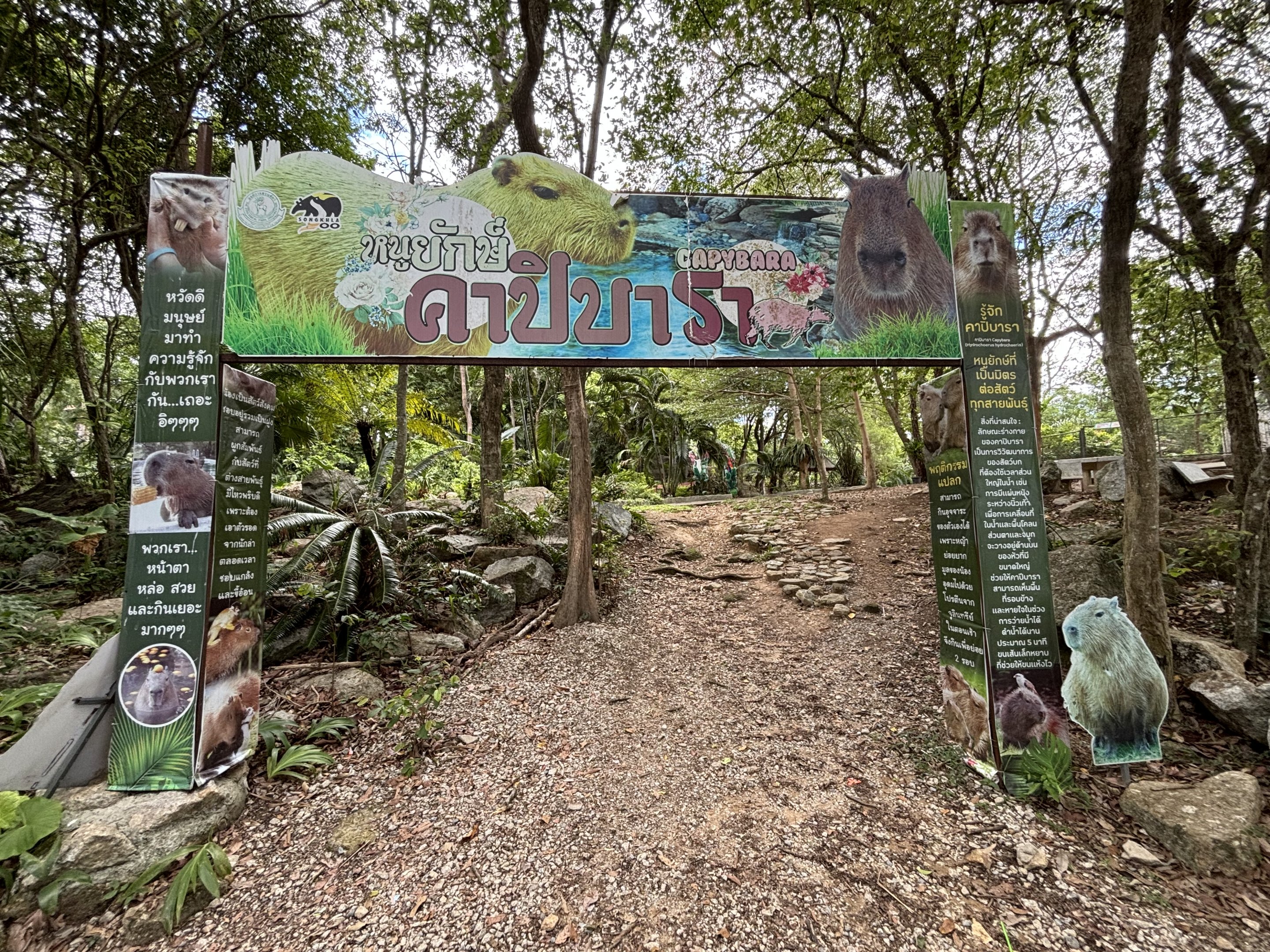 Capybara Exhibit - entrance area