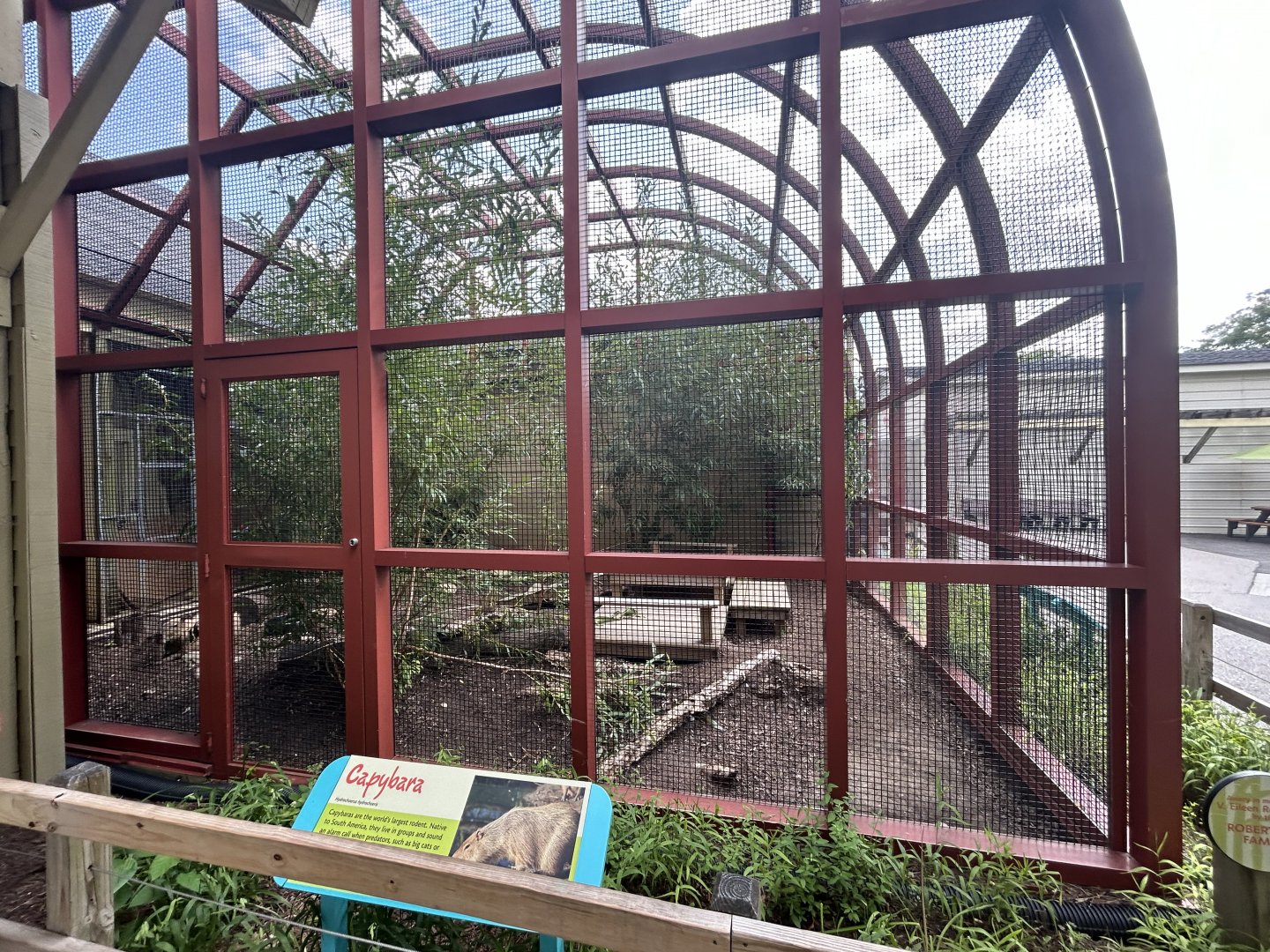 Capybara Exhibit - Flights of Fancy