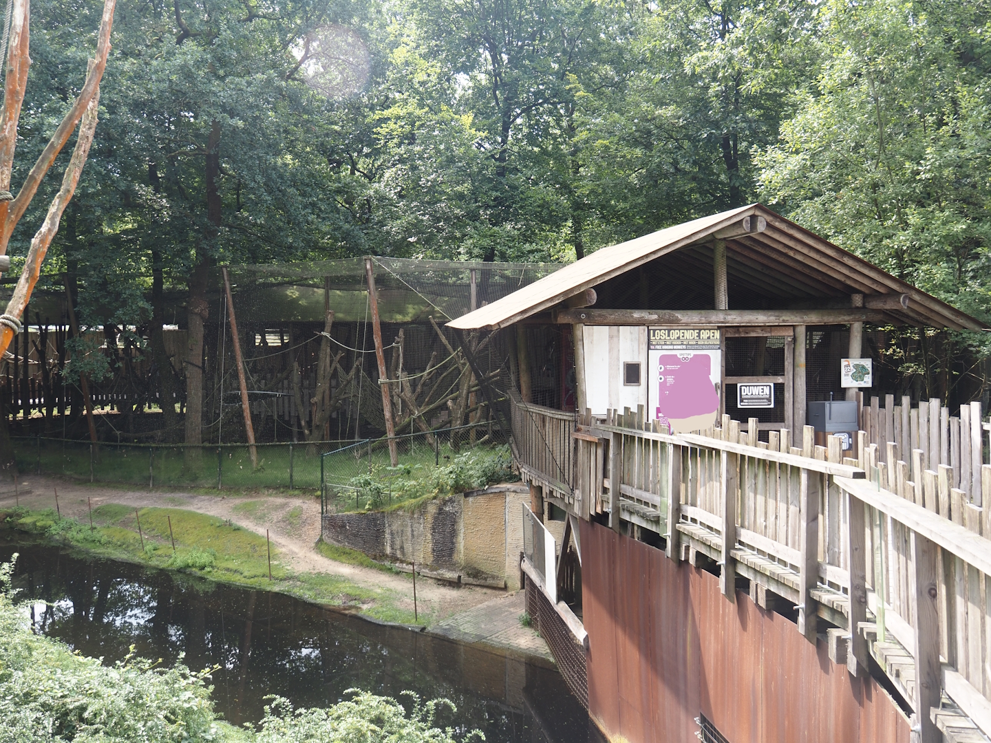 Capybara exhibit land and holding area and entrance and part of Hanuman langur walk-through exhibit, 2024-08-18