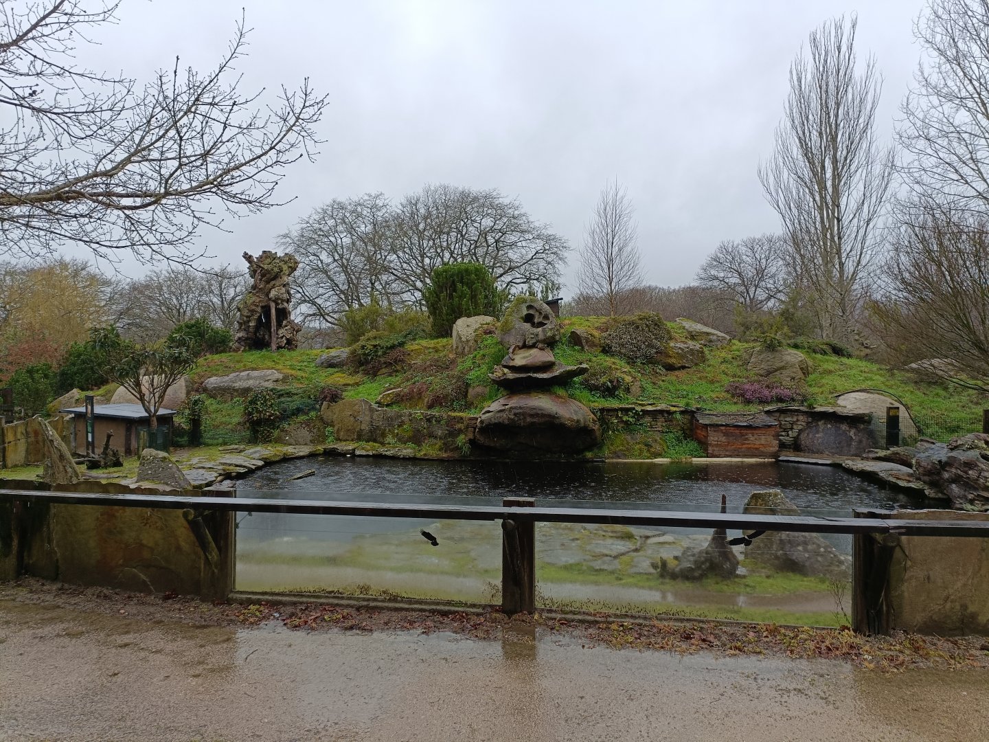 Capybara exhibit -Marcelle Naturaleza
