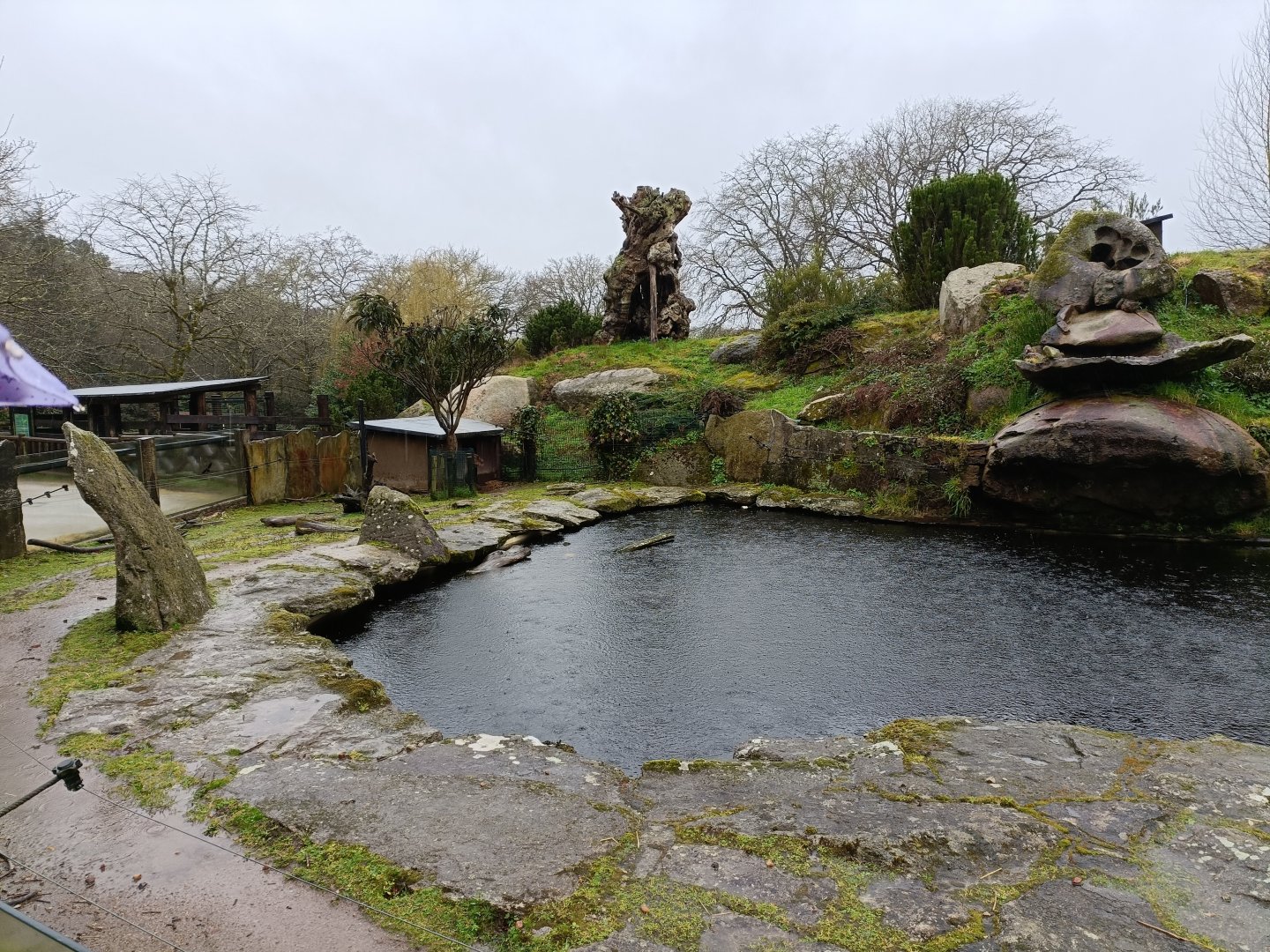 Capybara exhibit -Marcelle Naturaleza