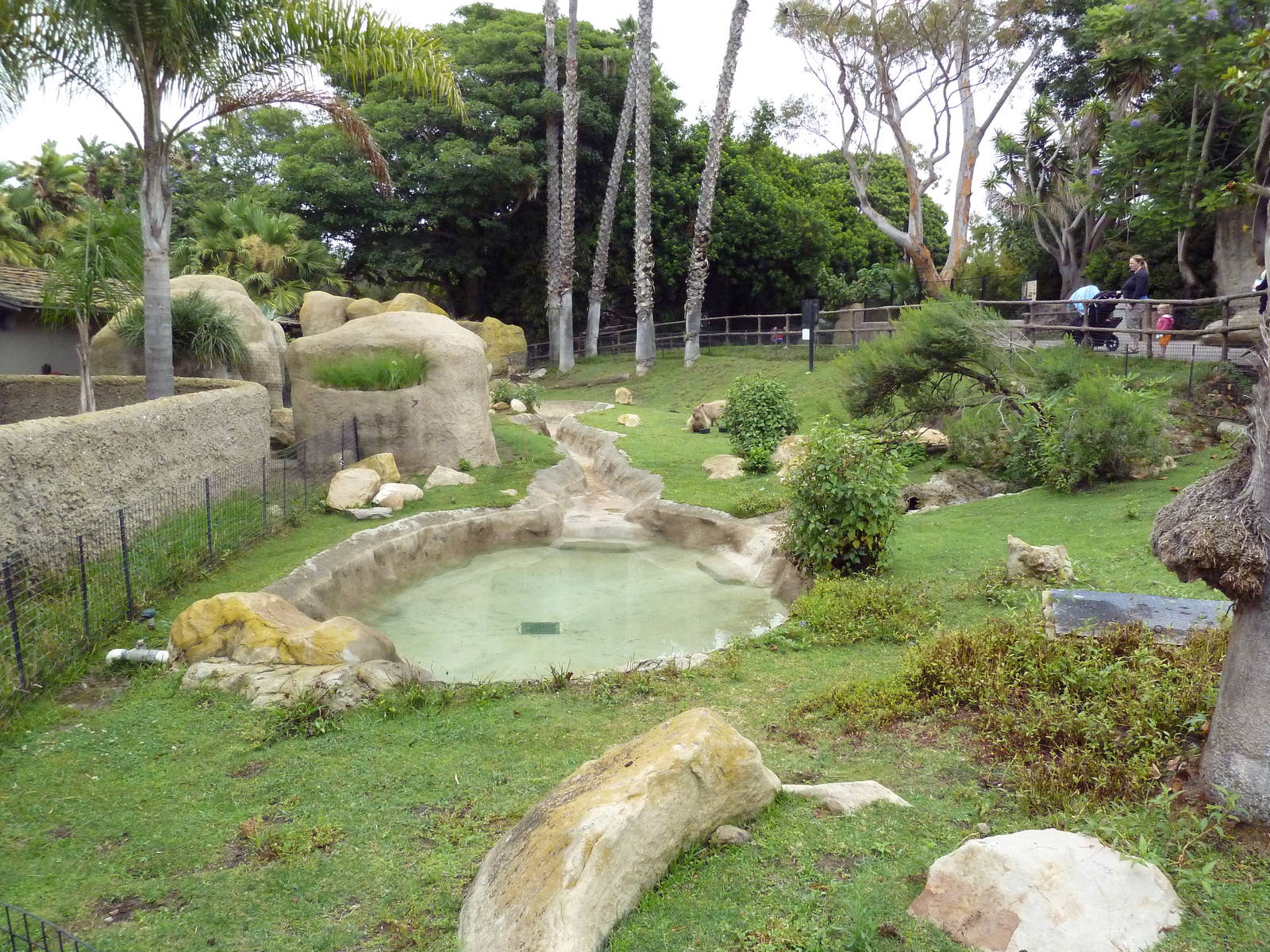 Capybara Exhibit