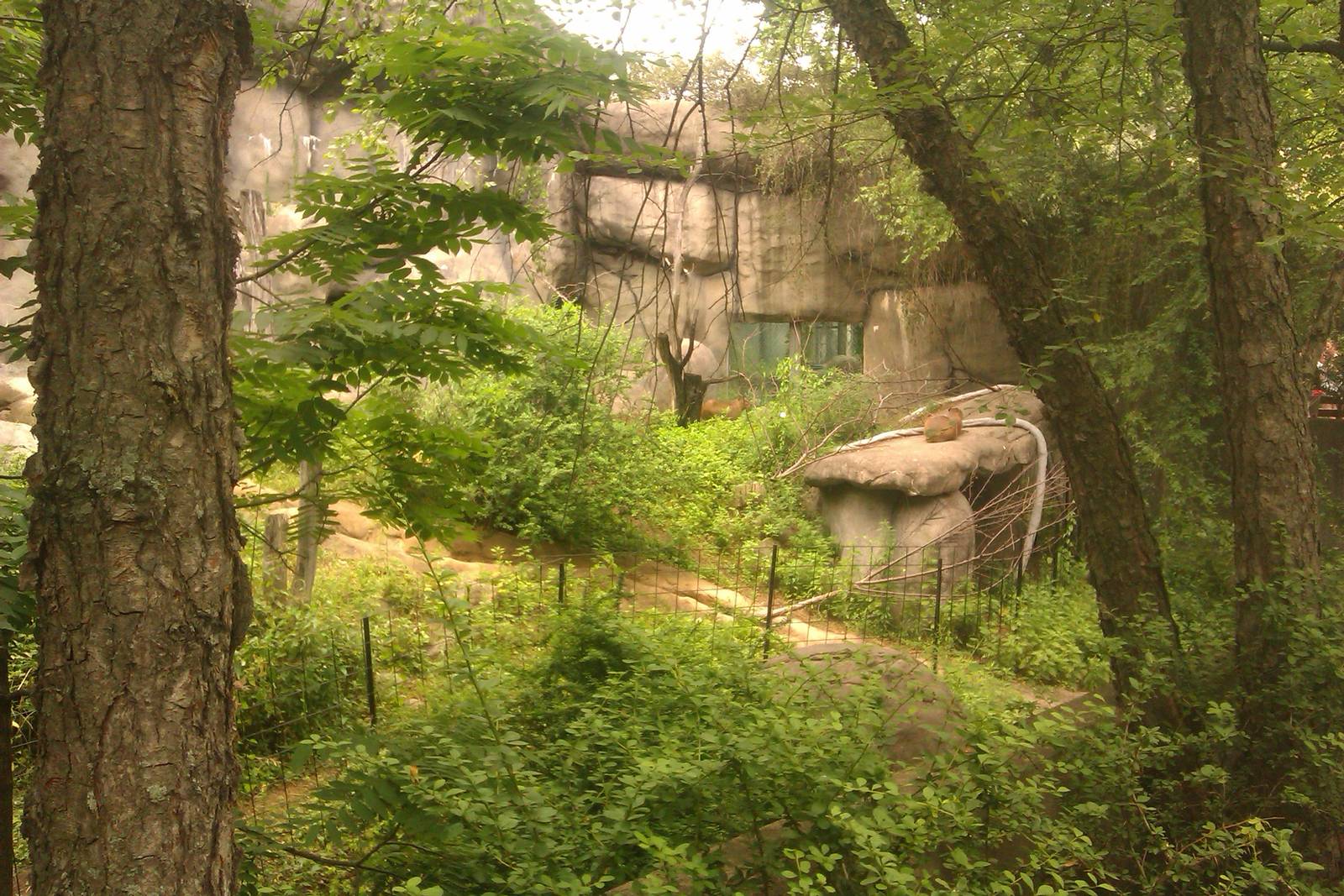 Capybara Exhibit