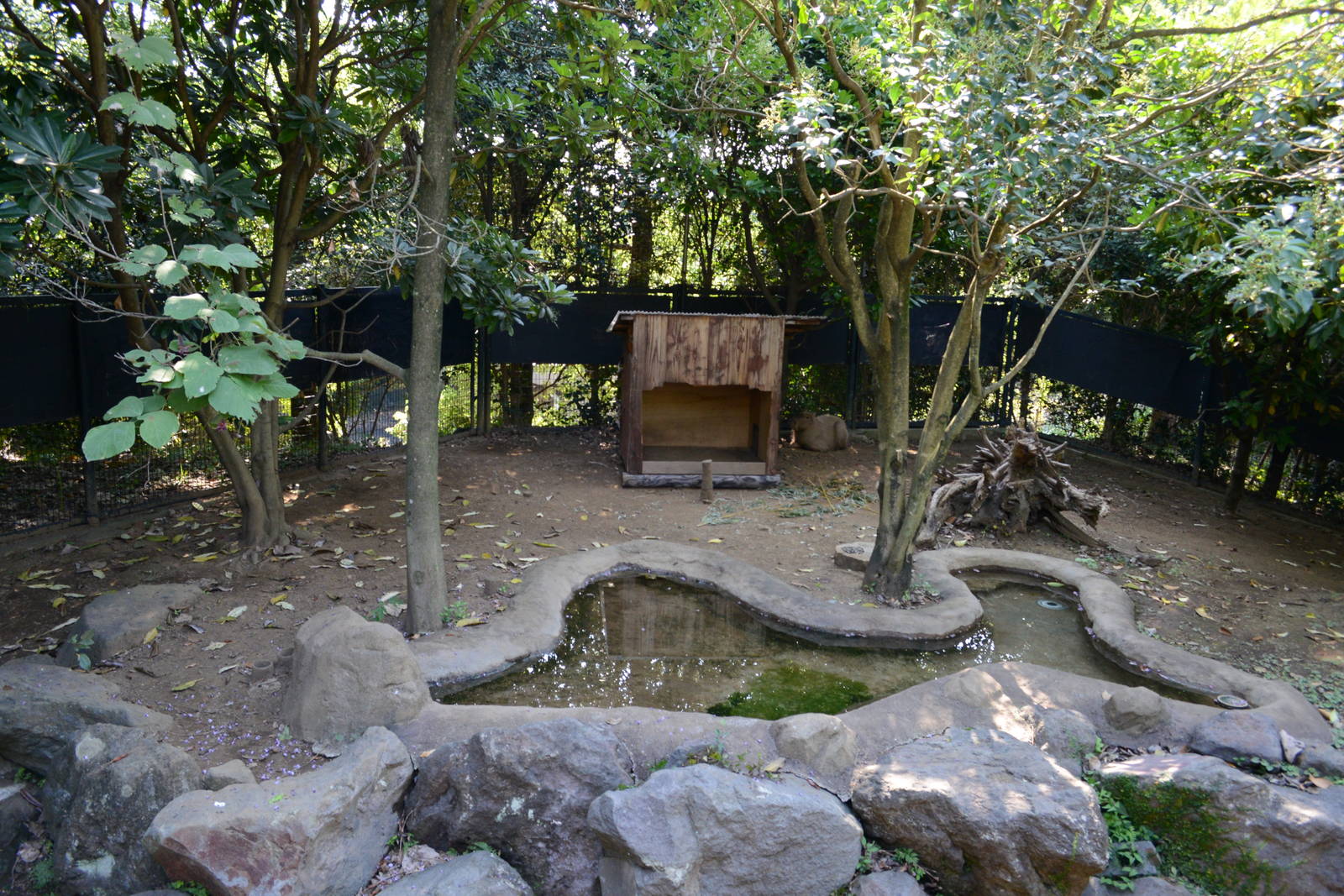 Capybara exhibit