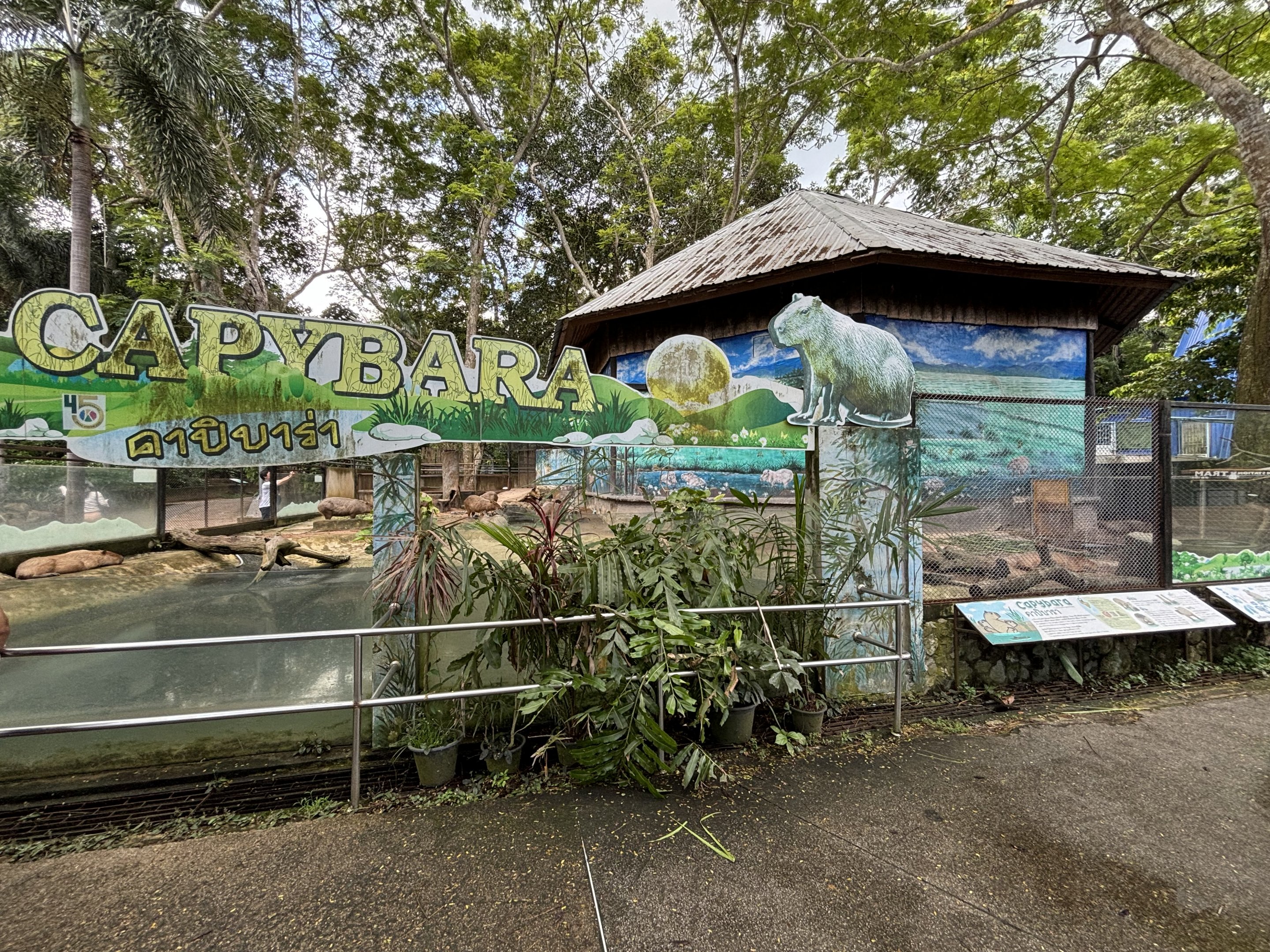 Capybara Exhibit