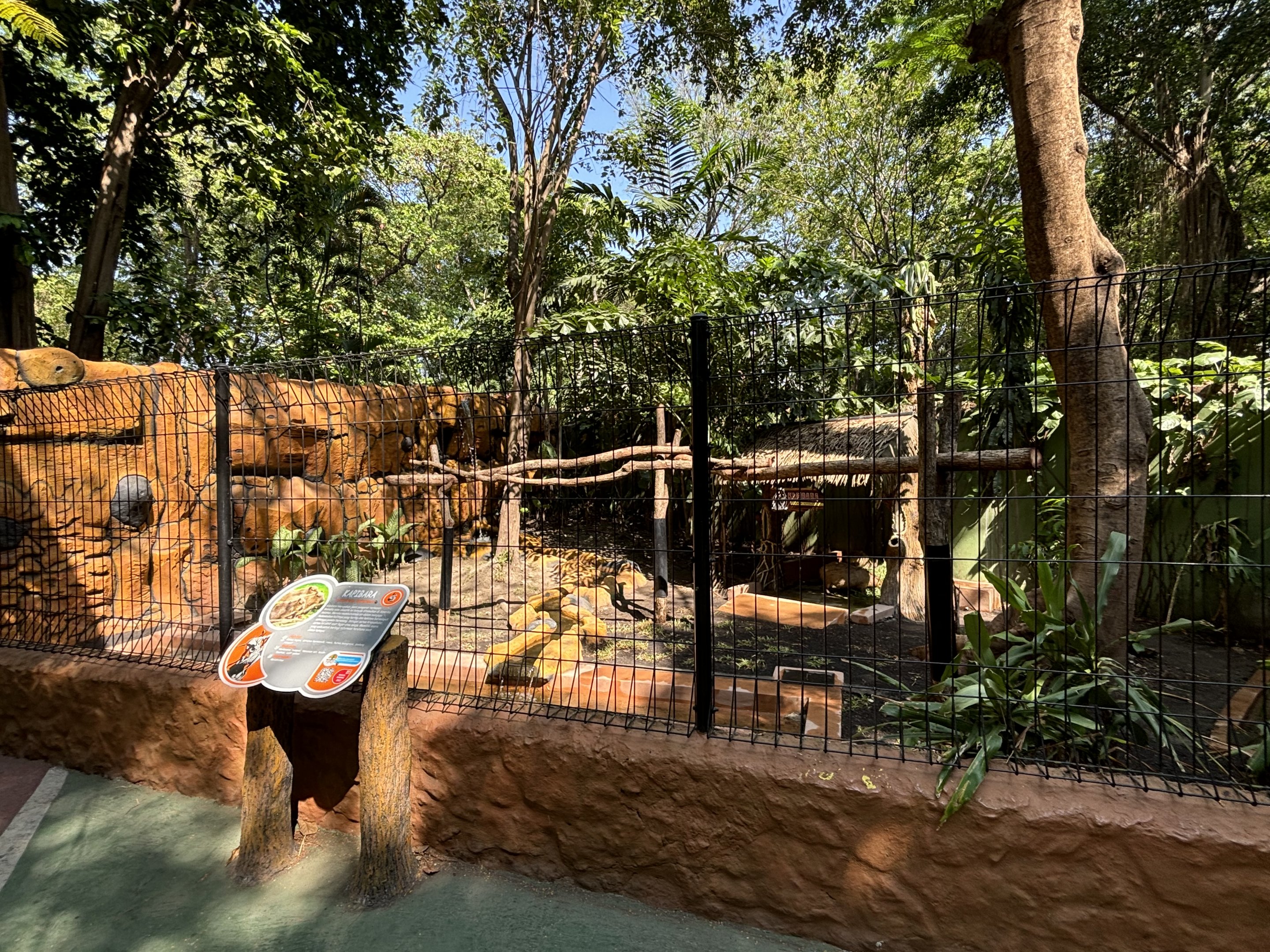Capybara Exhibit