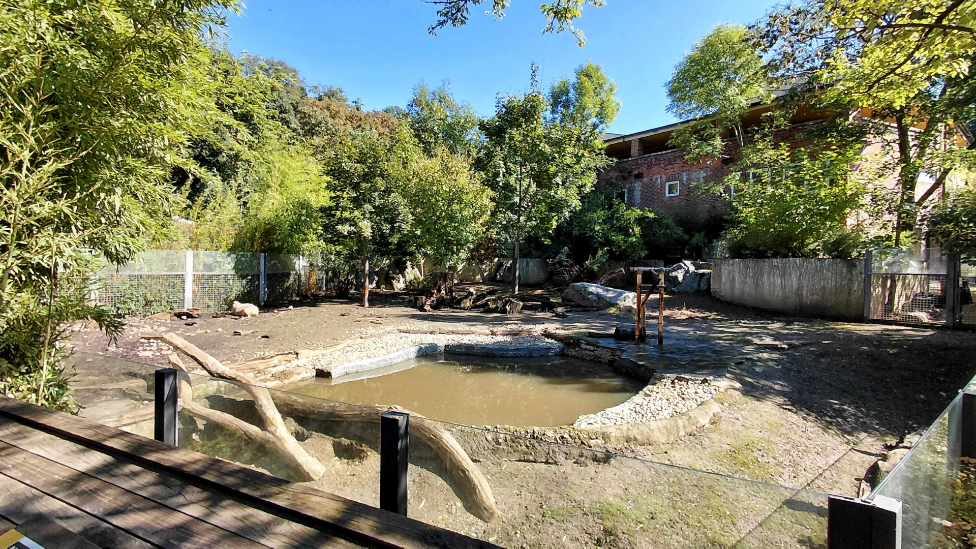 Capybara + giant anteater exhibit