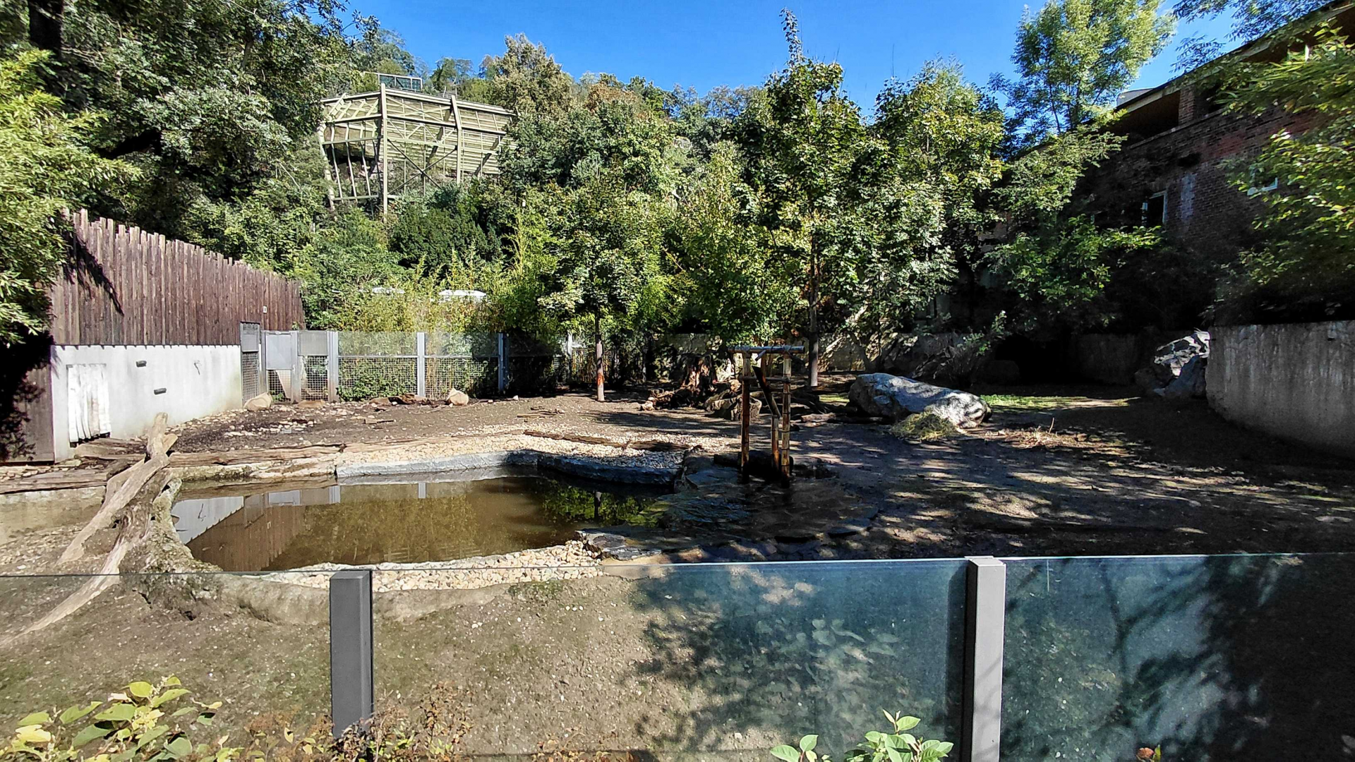 Capybara + giant anteater exhibit