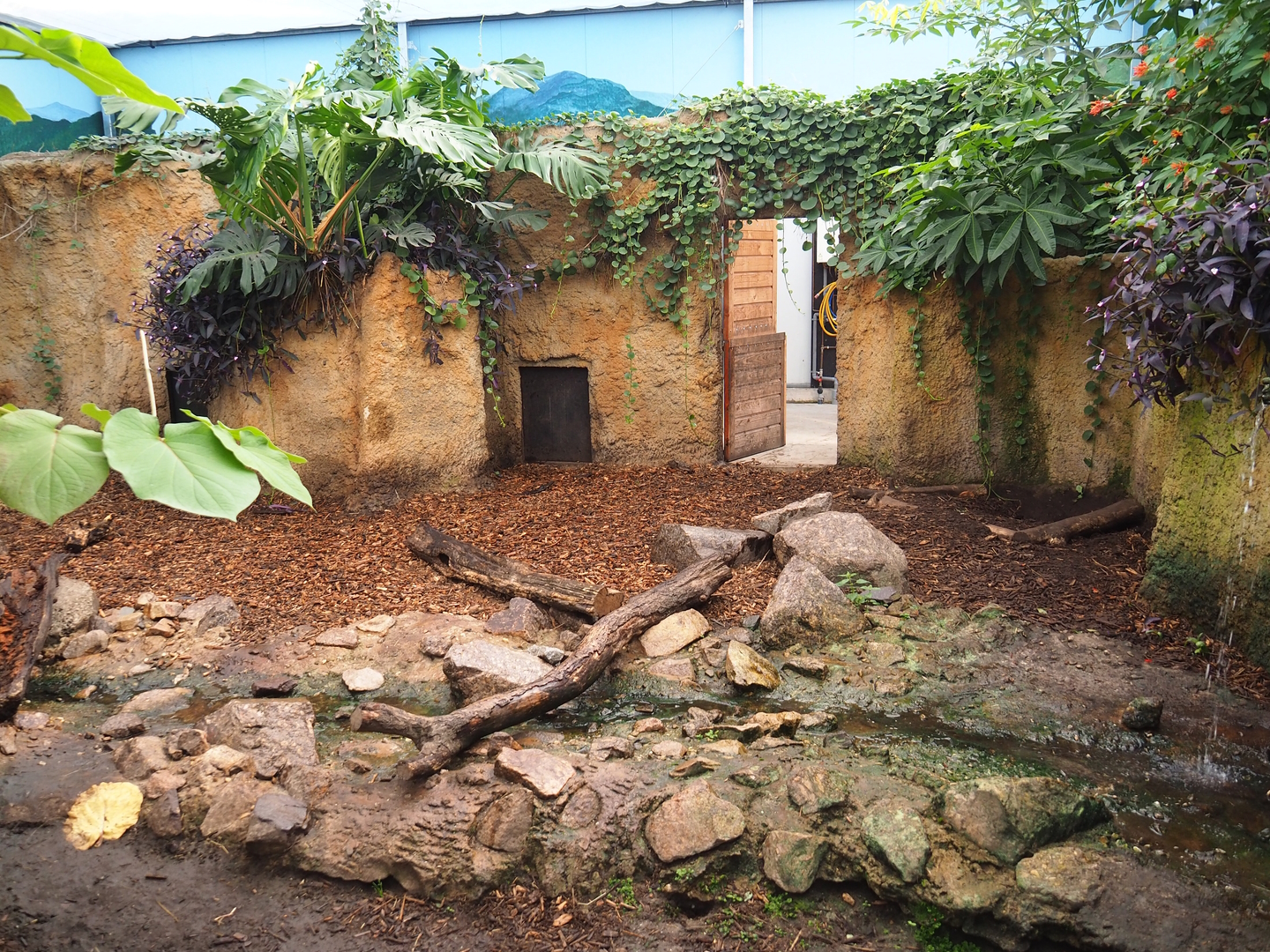 Capybara/Giant anteater indoor exhibit, 2022-10-09