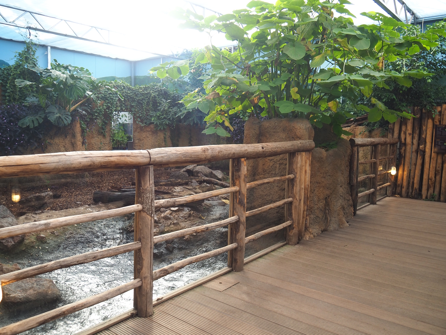 Capybara/Giant anteater indoor exhibit viewing area, 2022-10-09