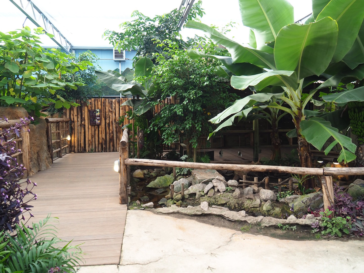 Capybara/Giant anteater indoor exhibit viewing area and Red-footed tortoise exhibit, 2022-10-09