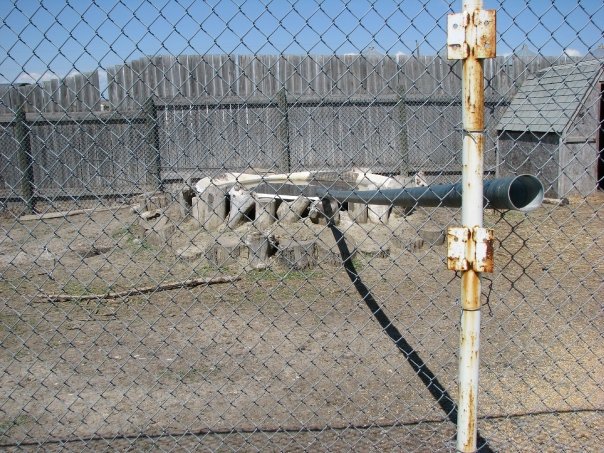 Capybara/Goose Pool - Guzoo May 2008