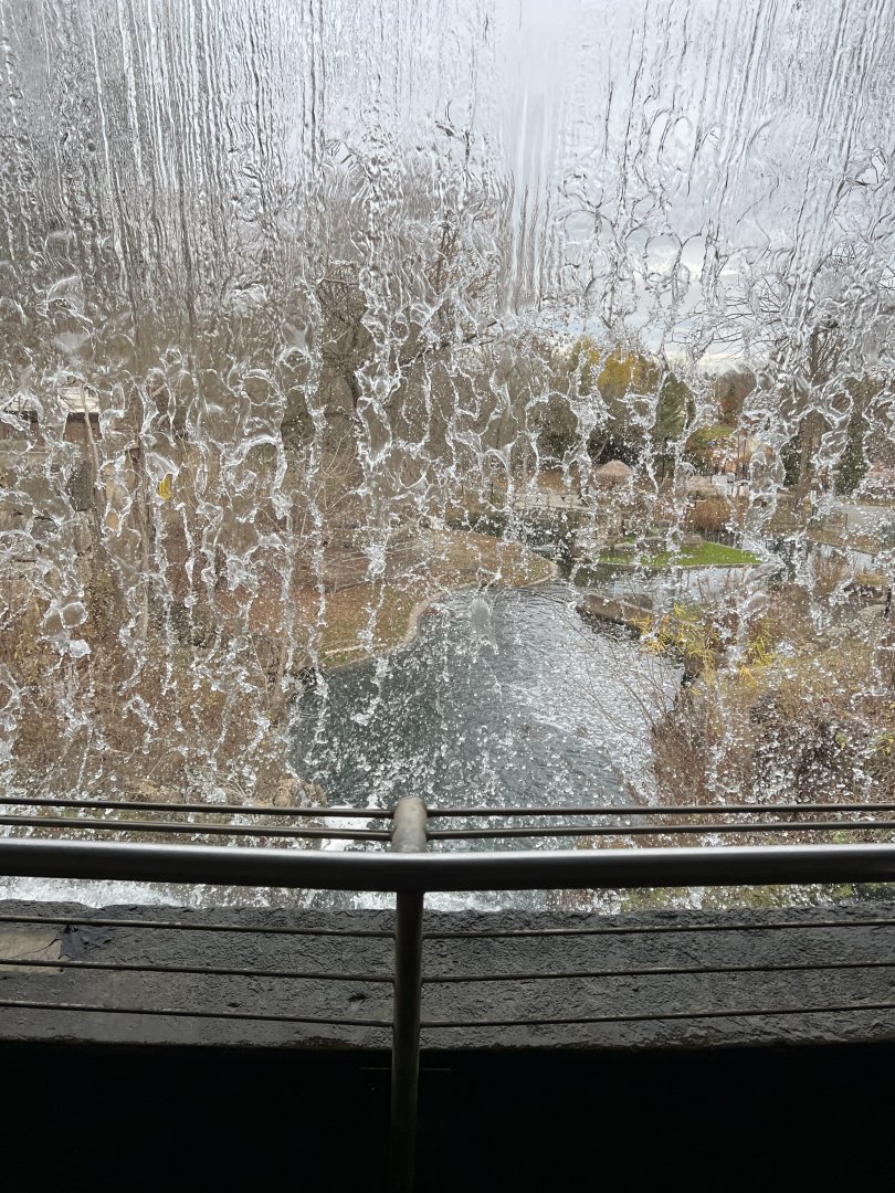 Capybara/Green-Winged Macaw Exhibit