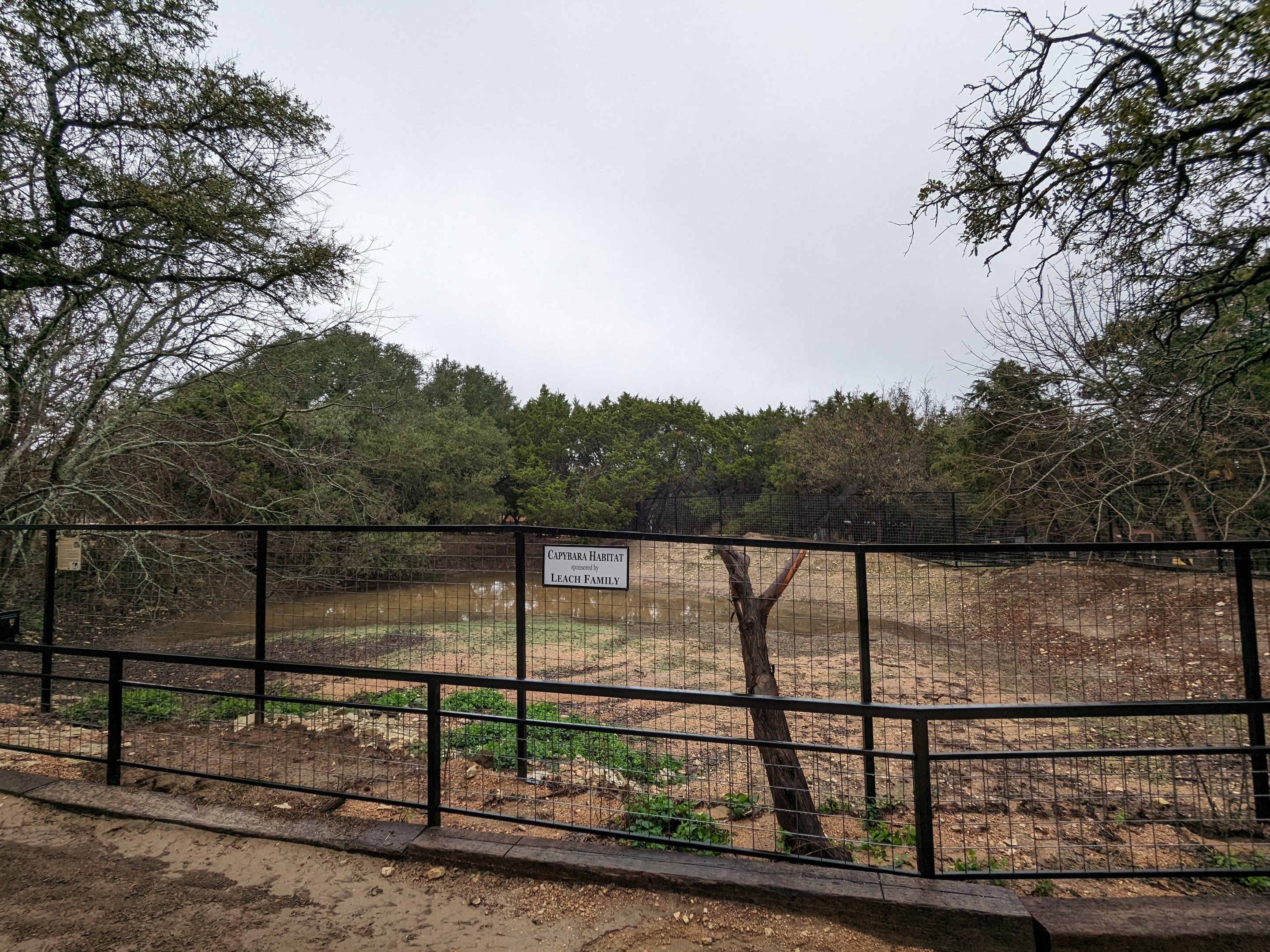 Capybara habitat