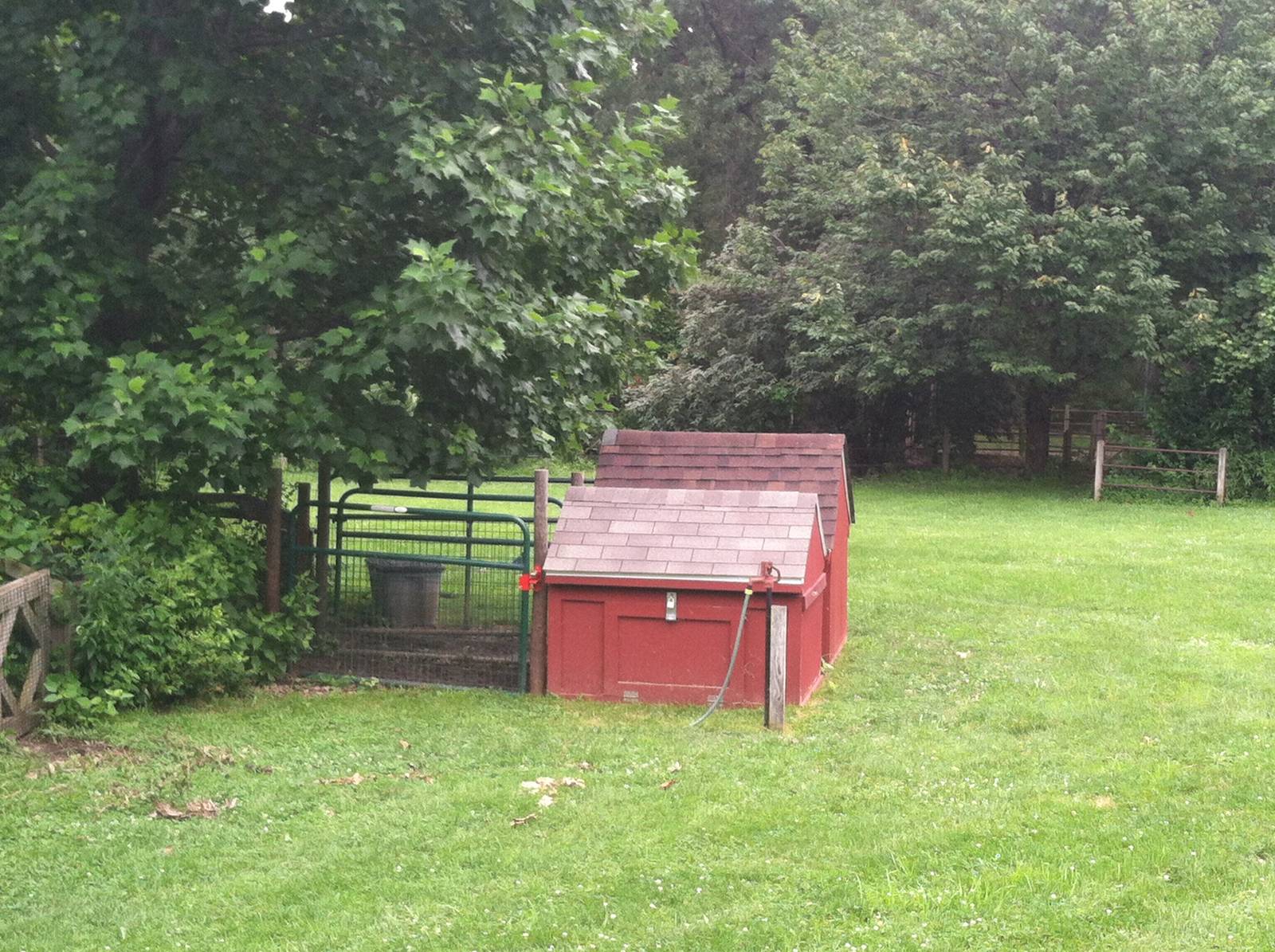 Capybara Holding Area
