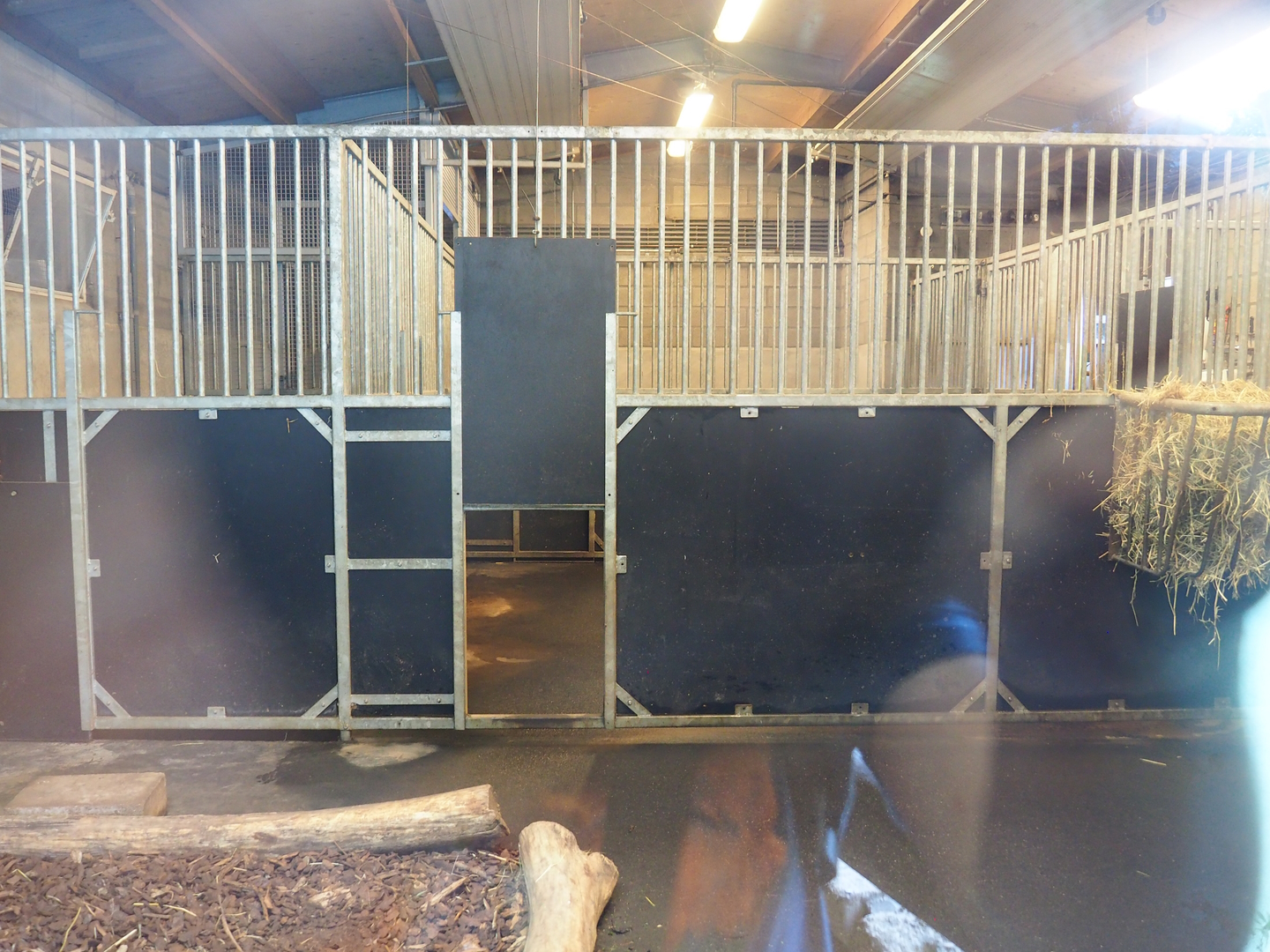 Capybara indoor paddocks, 2022-08-20