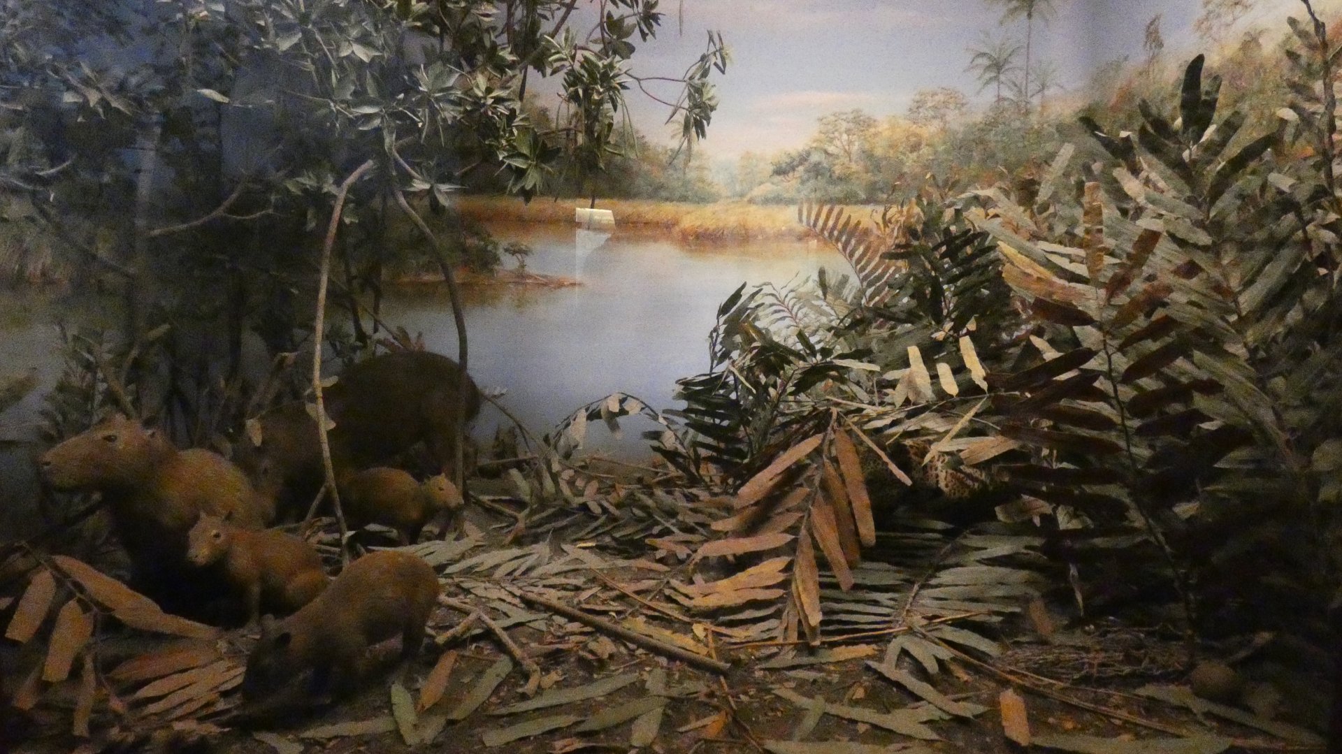 Capybara + Jaguar, American Wilderness Gallery - Feb. 2022