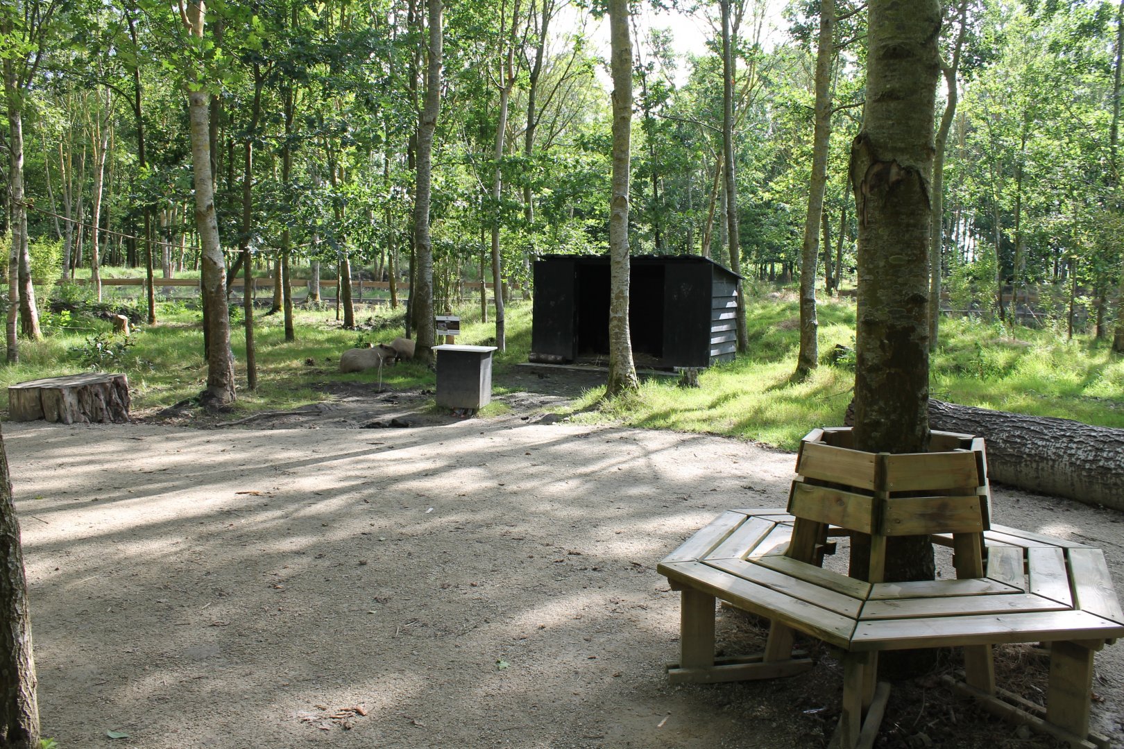 Capybara - Lemur Walk-through