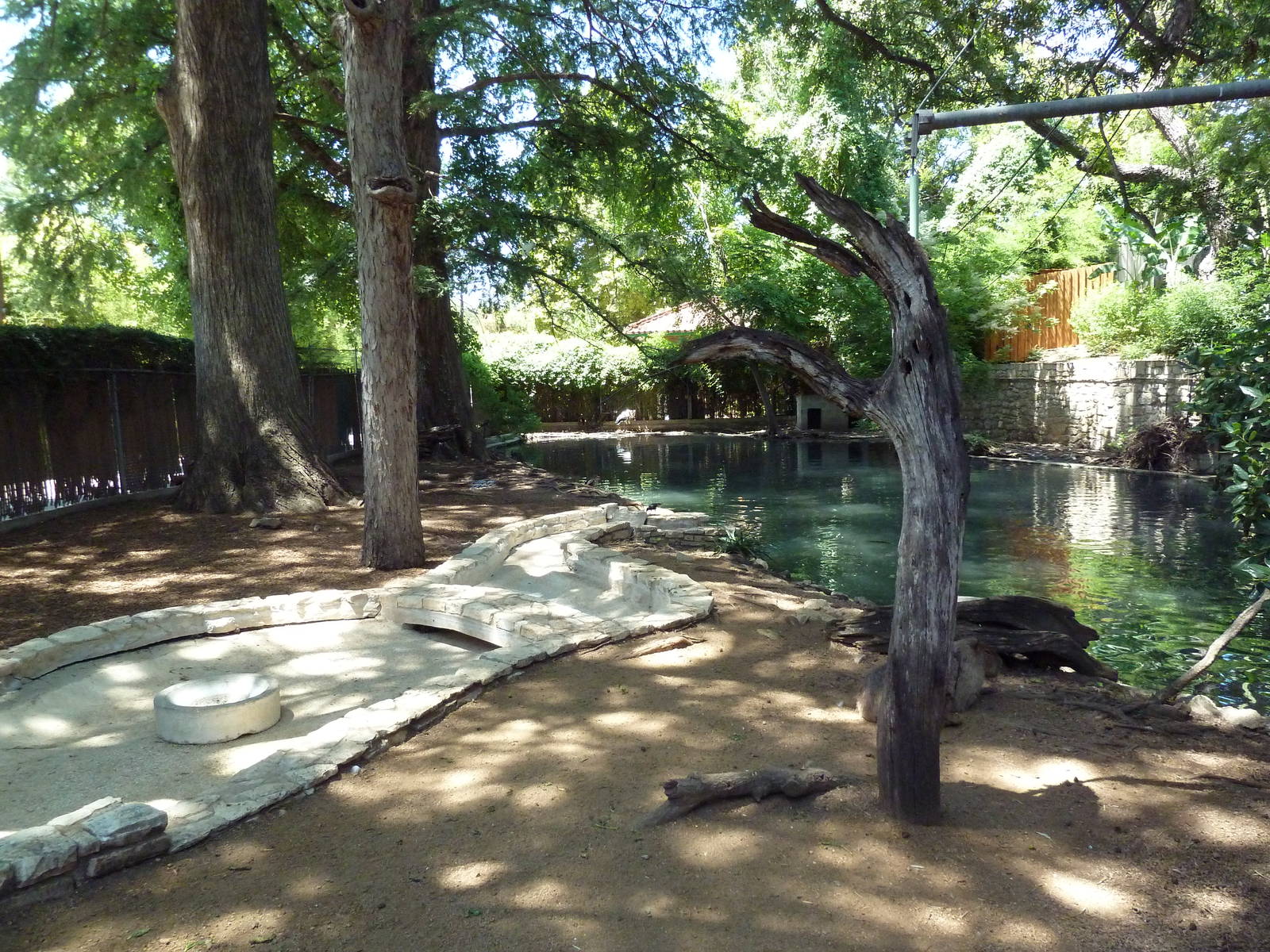 Capybara/Maguari Stork Exhibit