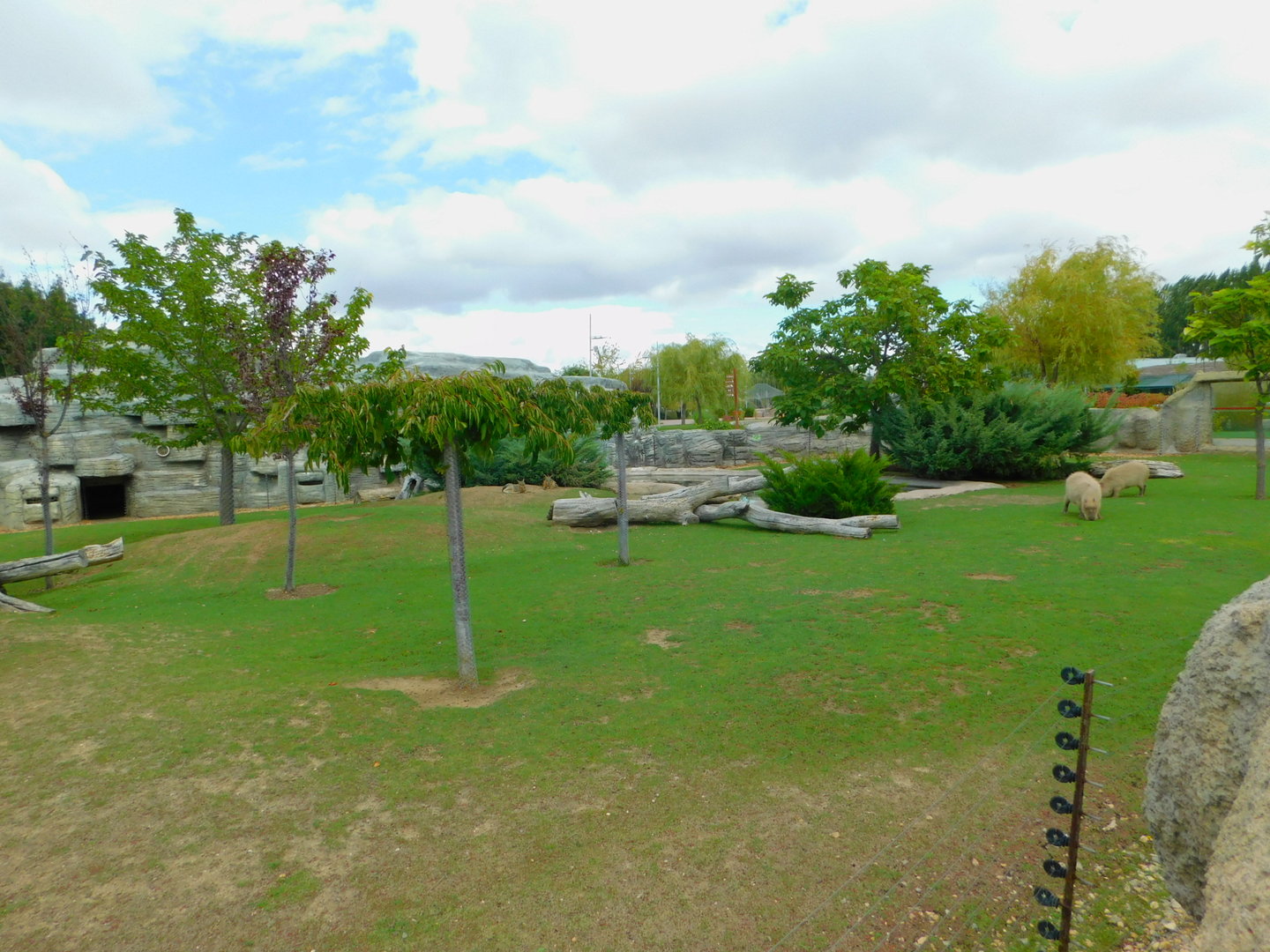 Capybara, Mara, and Lowland Paca Enclosure