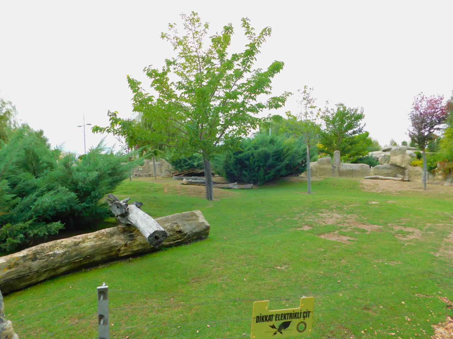 Capybara, Mara, and Lowland Paca Enclosure