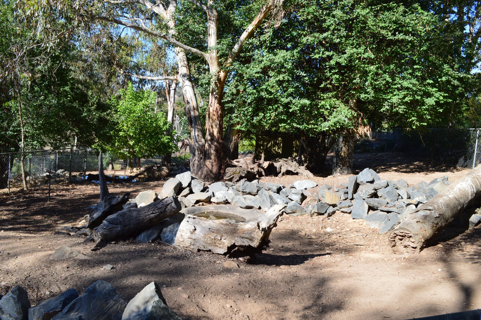 Capybara/Mara Enclosure 01