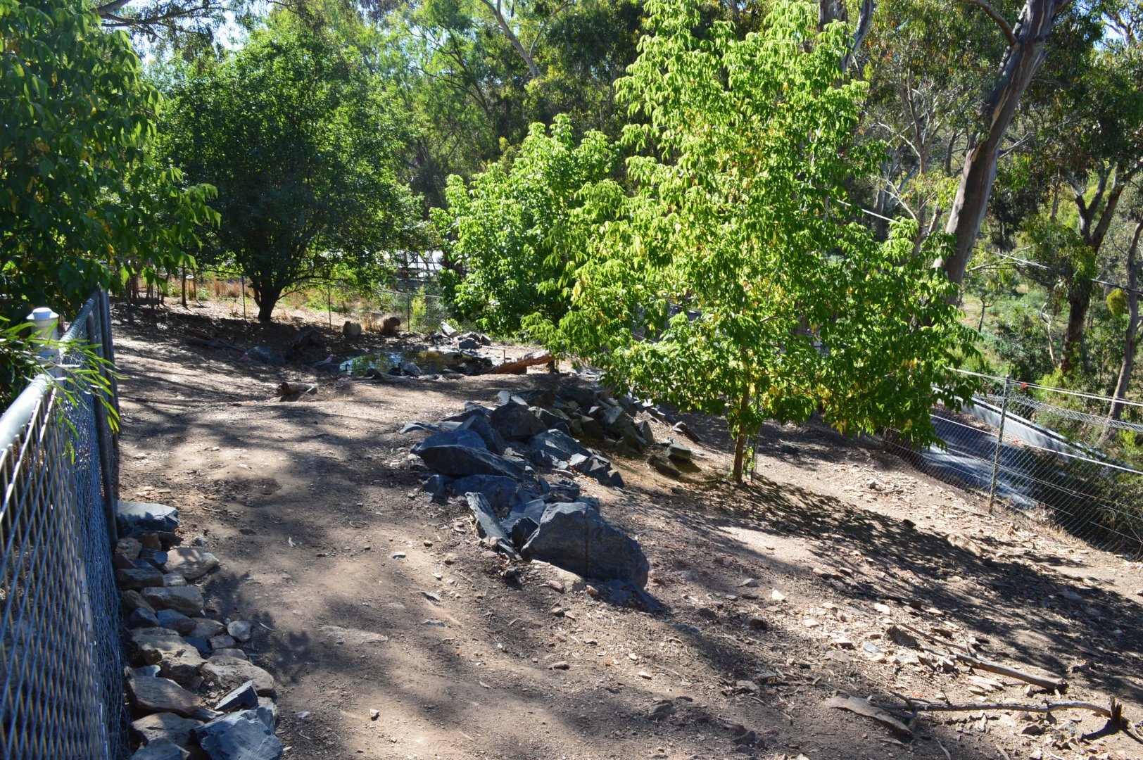Capybara/Mara Enclosure 02