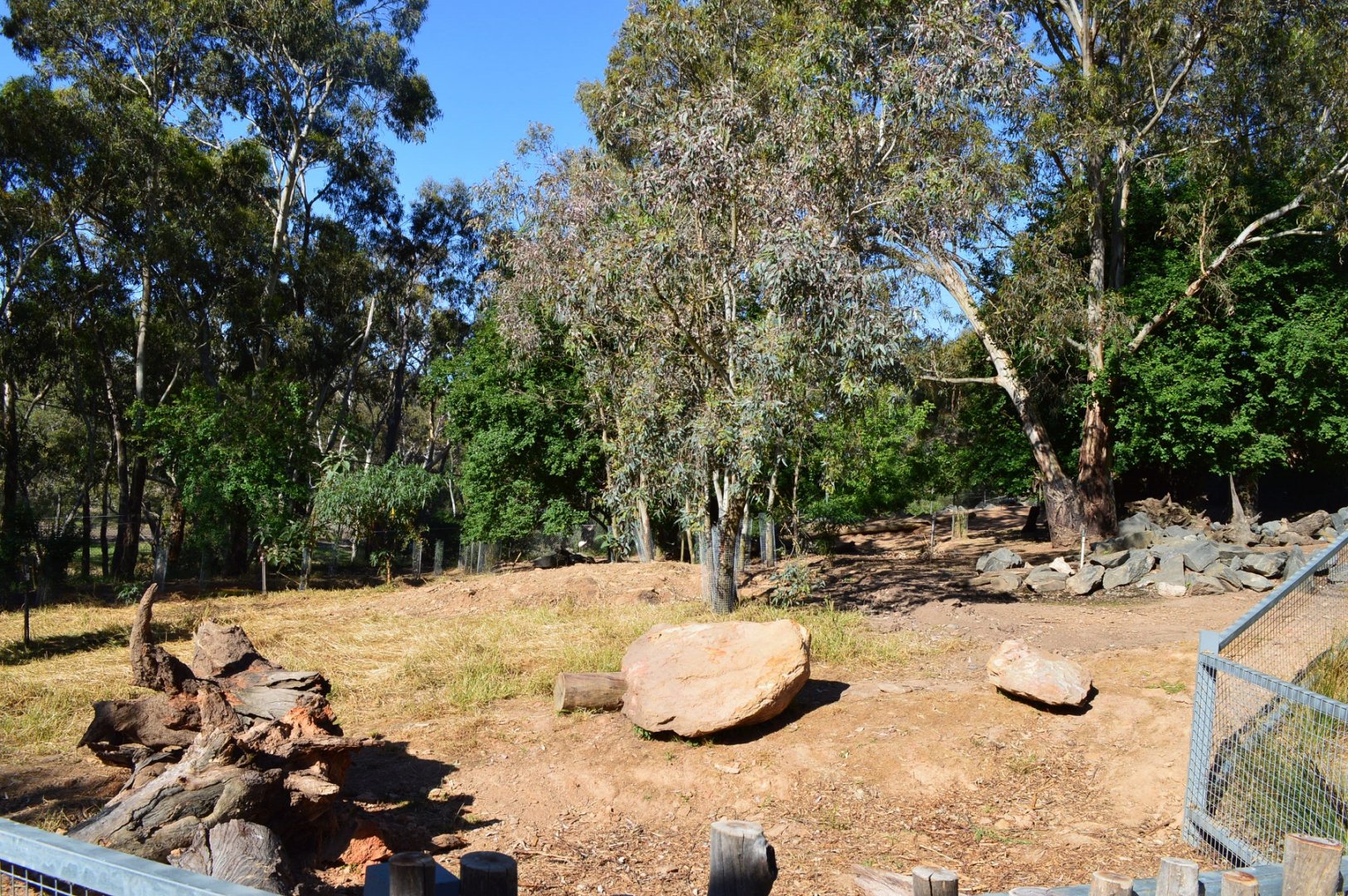 Capybara/Mara Enclosure (Extended)