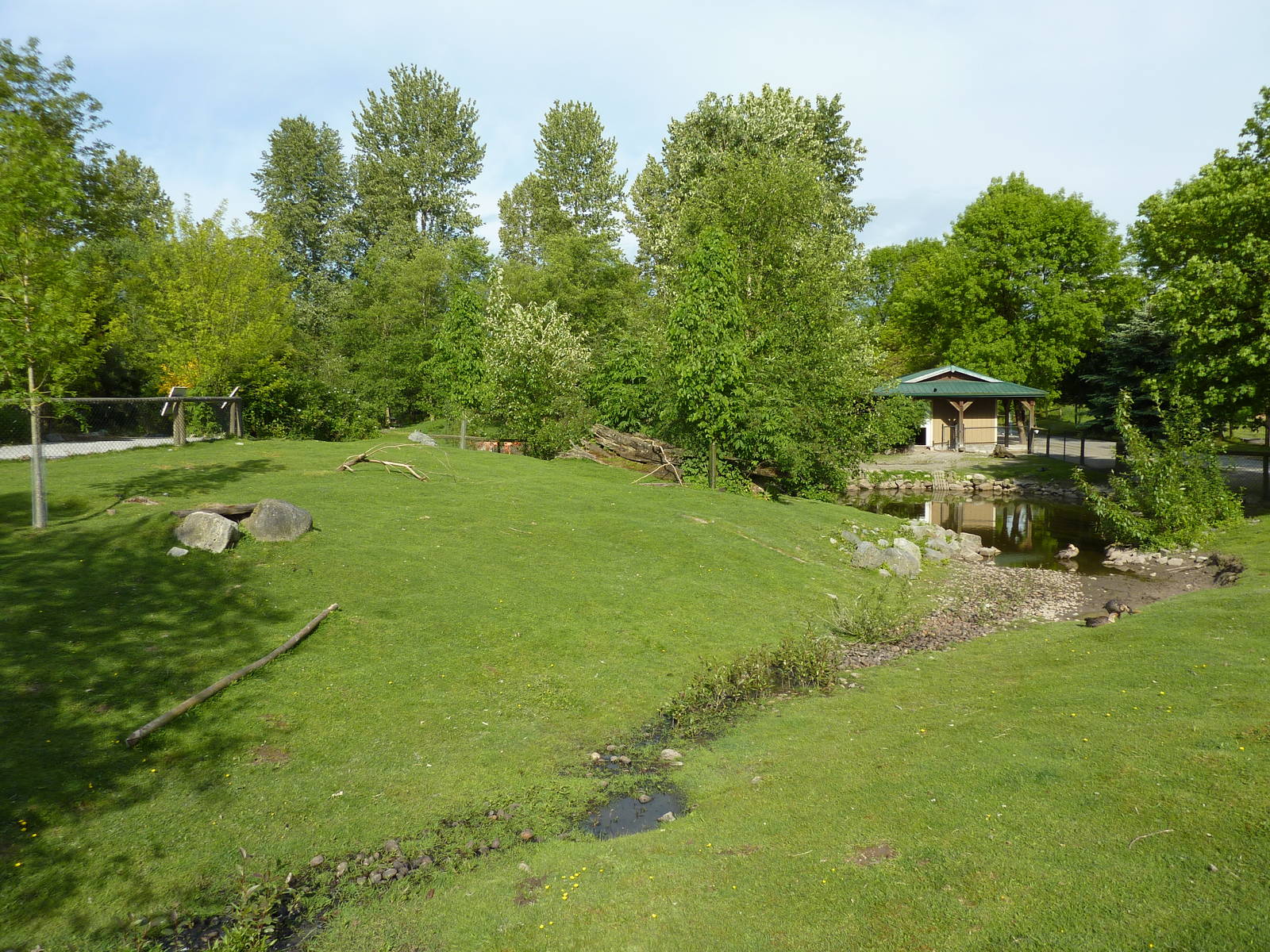 Capybara/Mara Enclosure