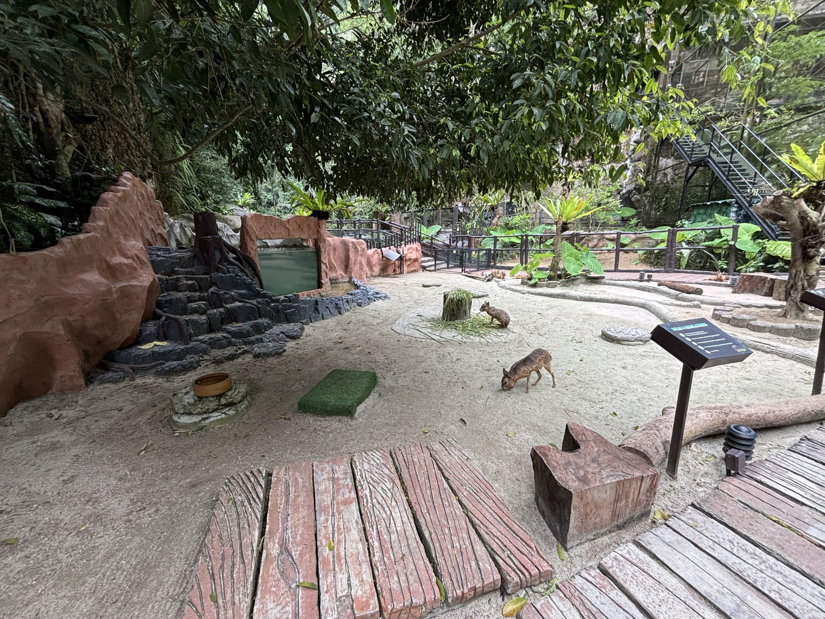 Capybara + Mara Exhibit - Lost World of Tambun