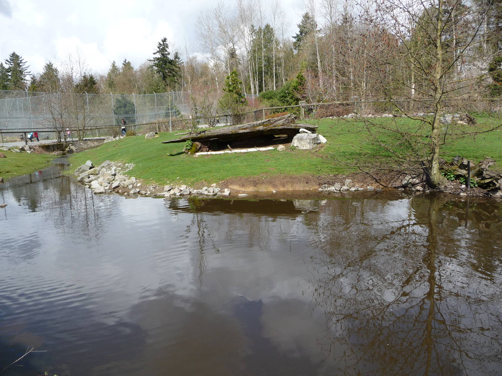 Capybara/Mara/Swan Exhibit