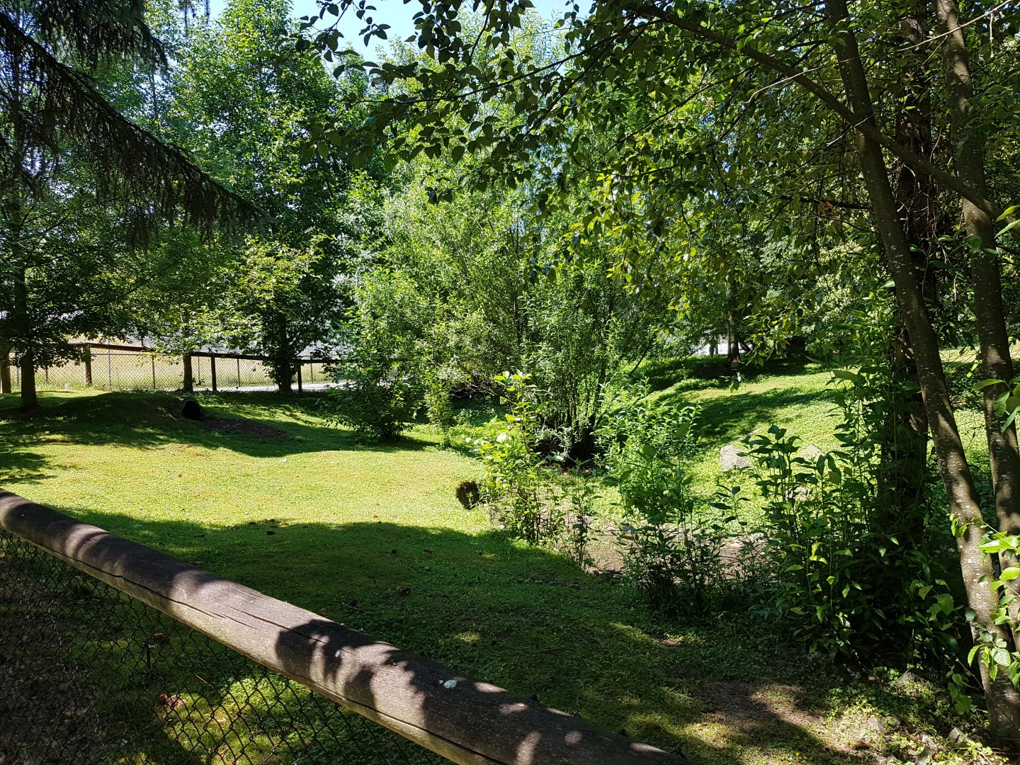 Capybara, Patagonian Mara, & Muscovy Duck Exhibit