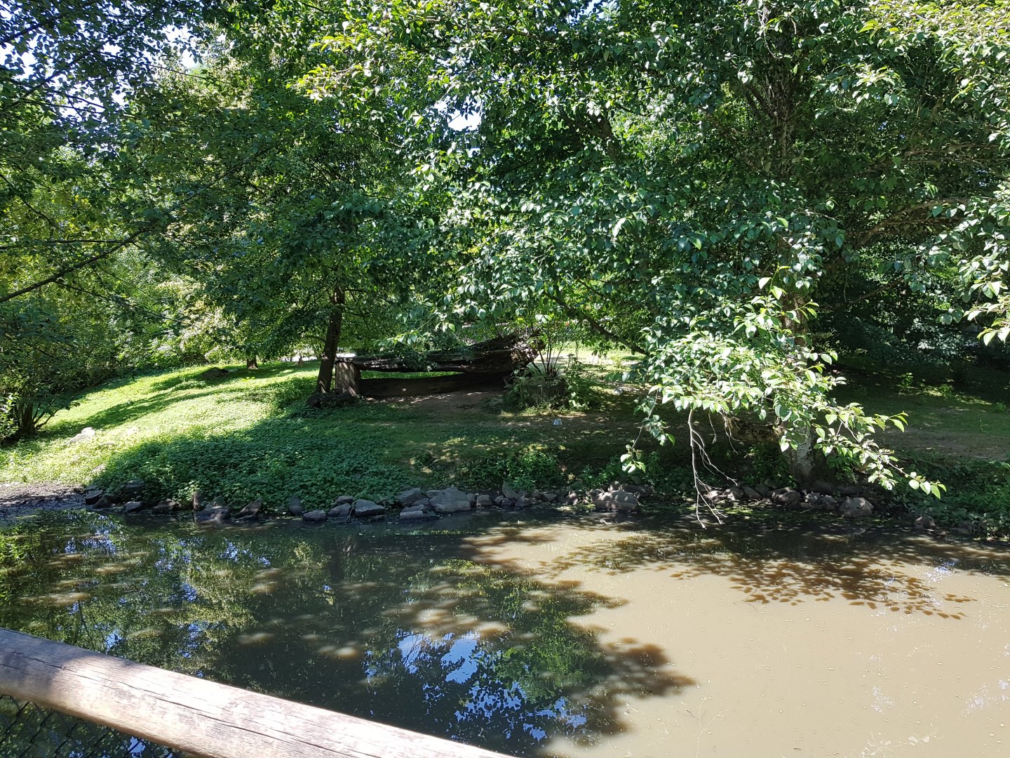 Capybara, Patagonian Mara, & Muscovy Duck Exhibit