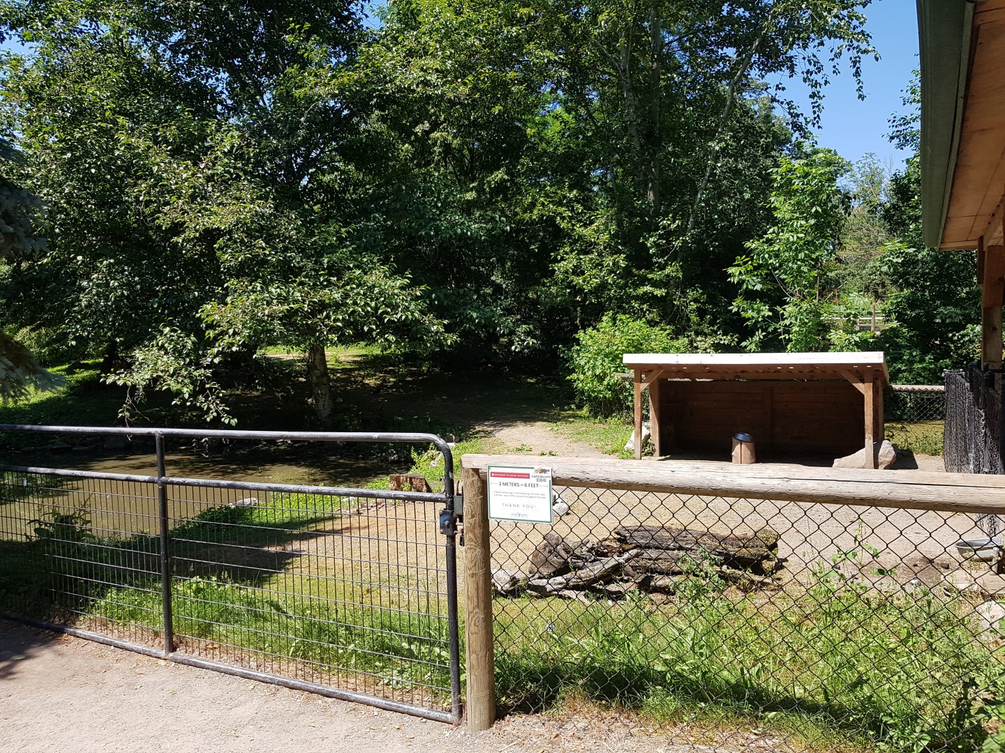 Capybara, Patagonian Mara, & Muscovy Duck Exhibit